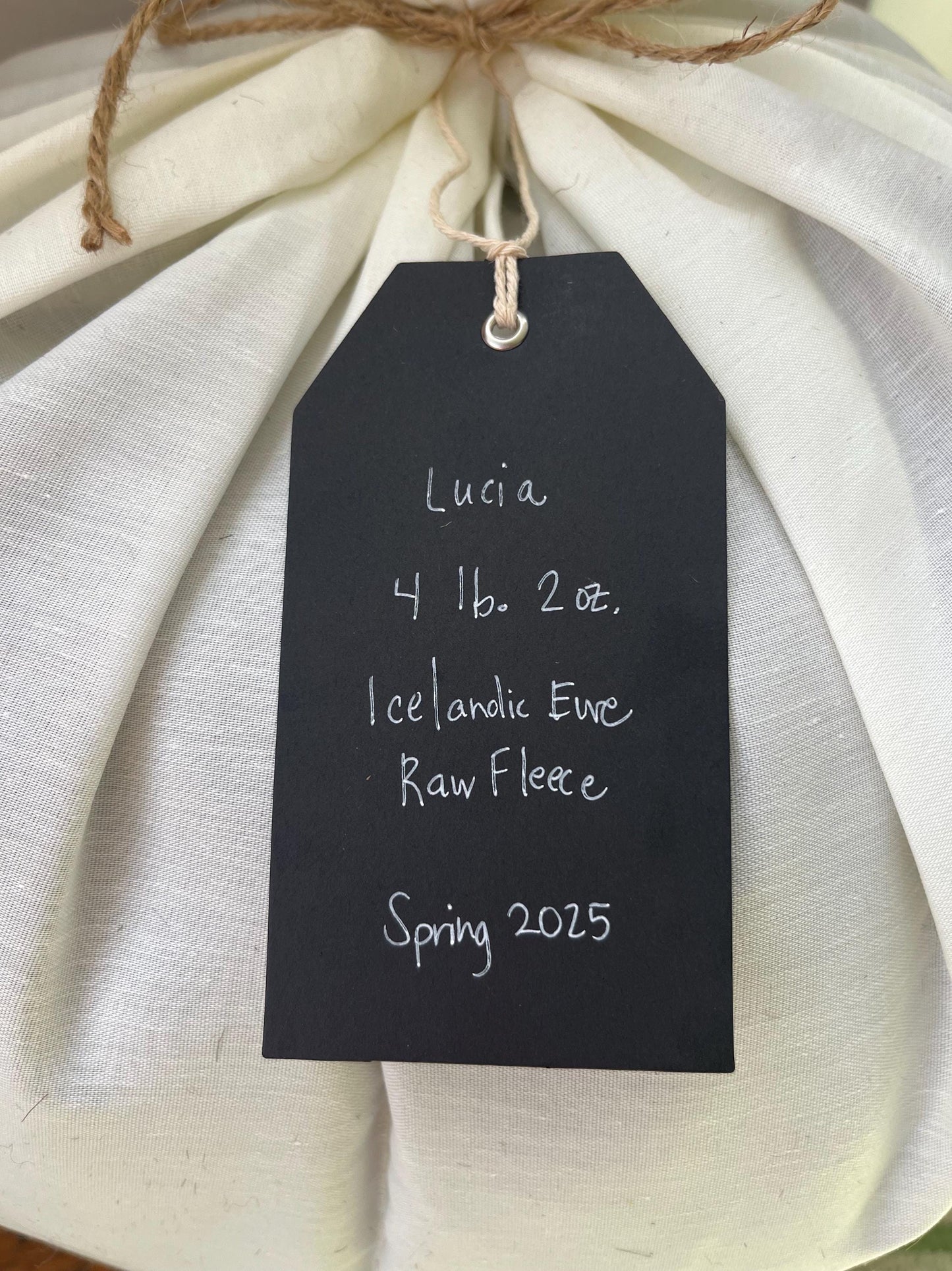 Icelandic Ewe Raw Wool Fleece