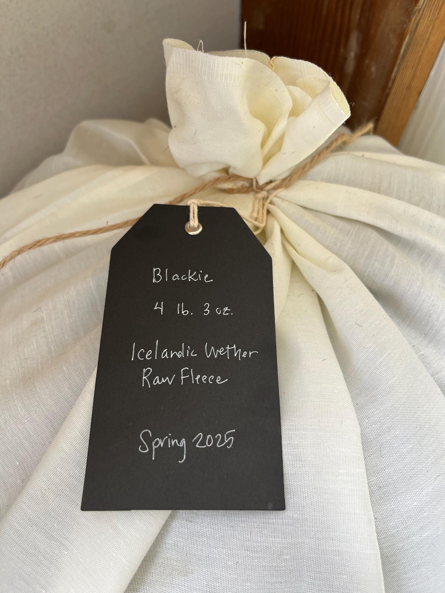 Icelandic Wether Raw Wool Fleece