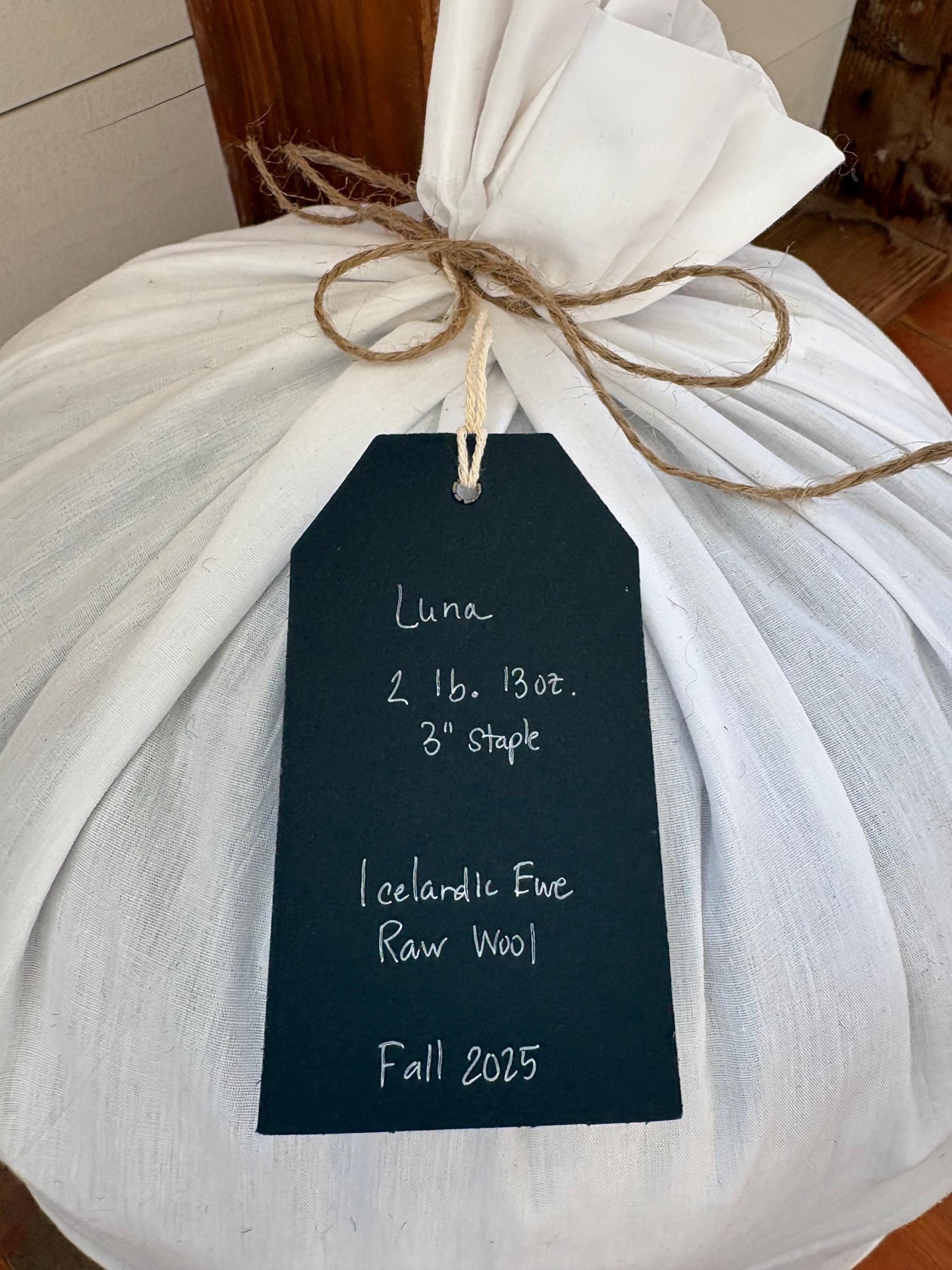 Icelandic Ewe Raw Wool Fleece (Fall Shearing)