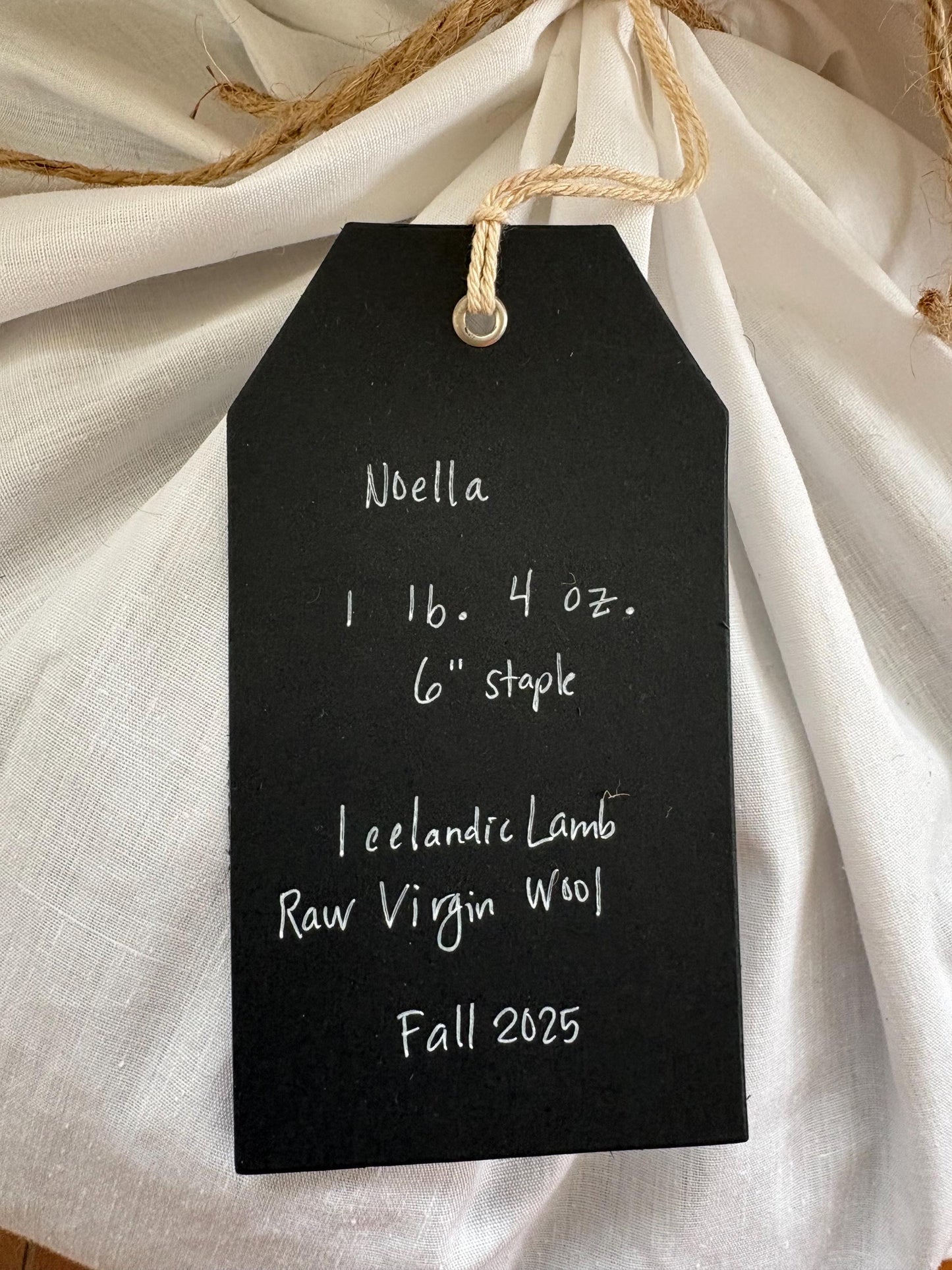 Icelandic Lamb Raw Wool Fleece (Fall Shearing)