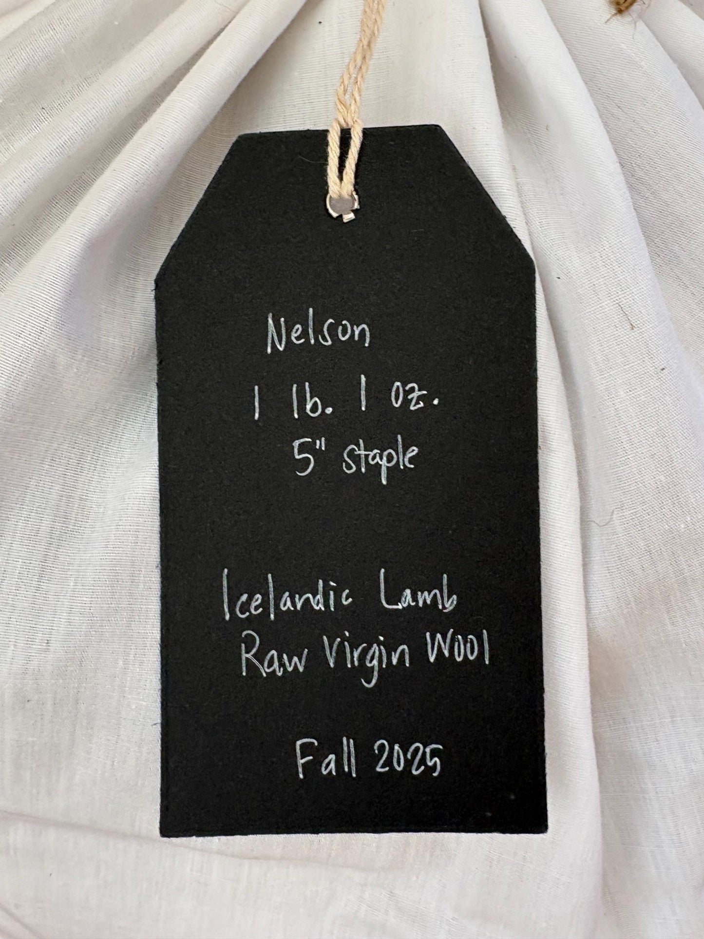 Icelandic Lamb Raw Wool Fleece (Fall Shearing)