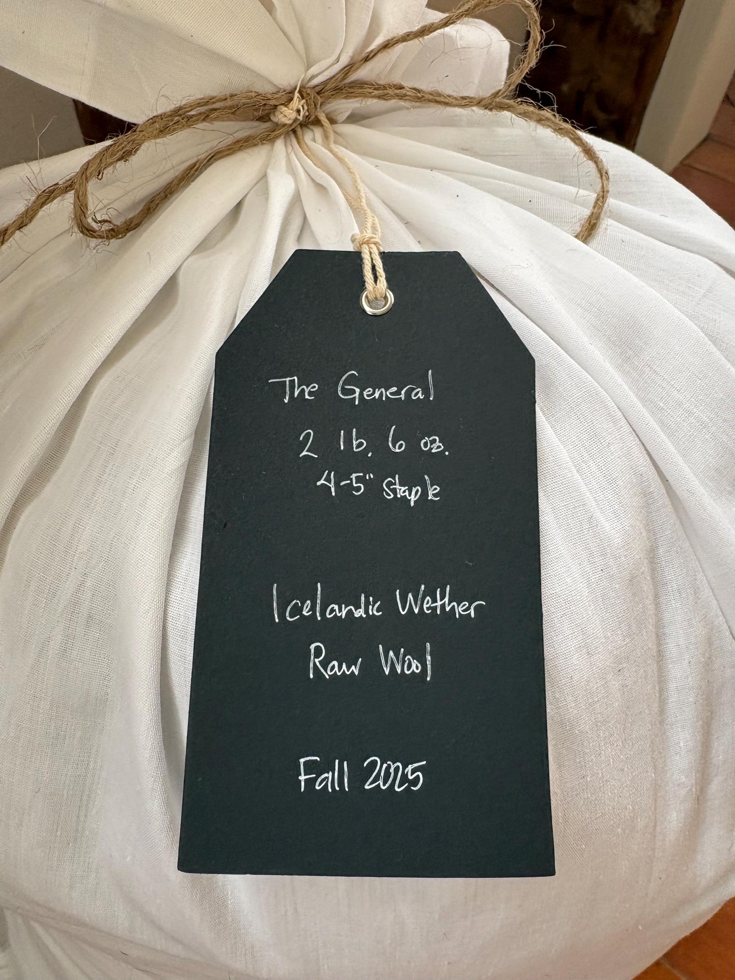 Icelandic Wether Raw Wool Fleece (Fall Shearing)