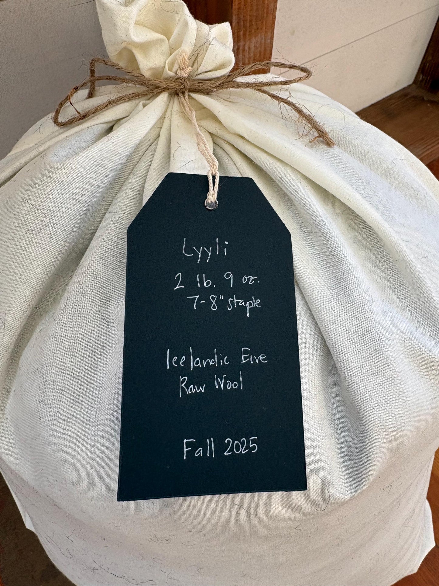 Icelandic Ewe Raw Wool Fleece (Fall Shearing)