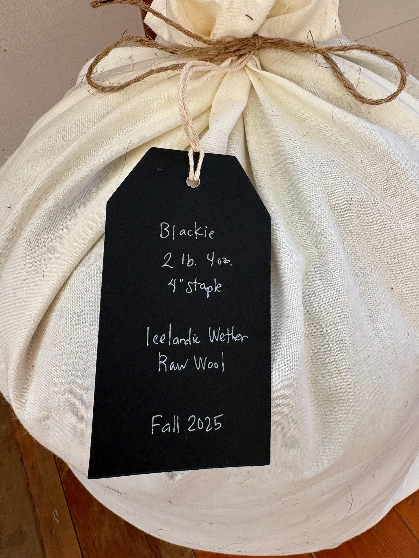 Icelandic Wether Raw Wool Fleece (Fall Shearing)