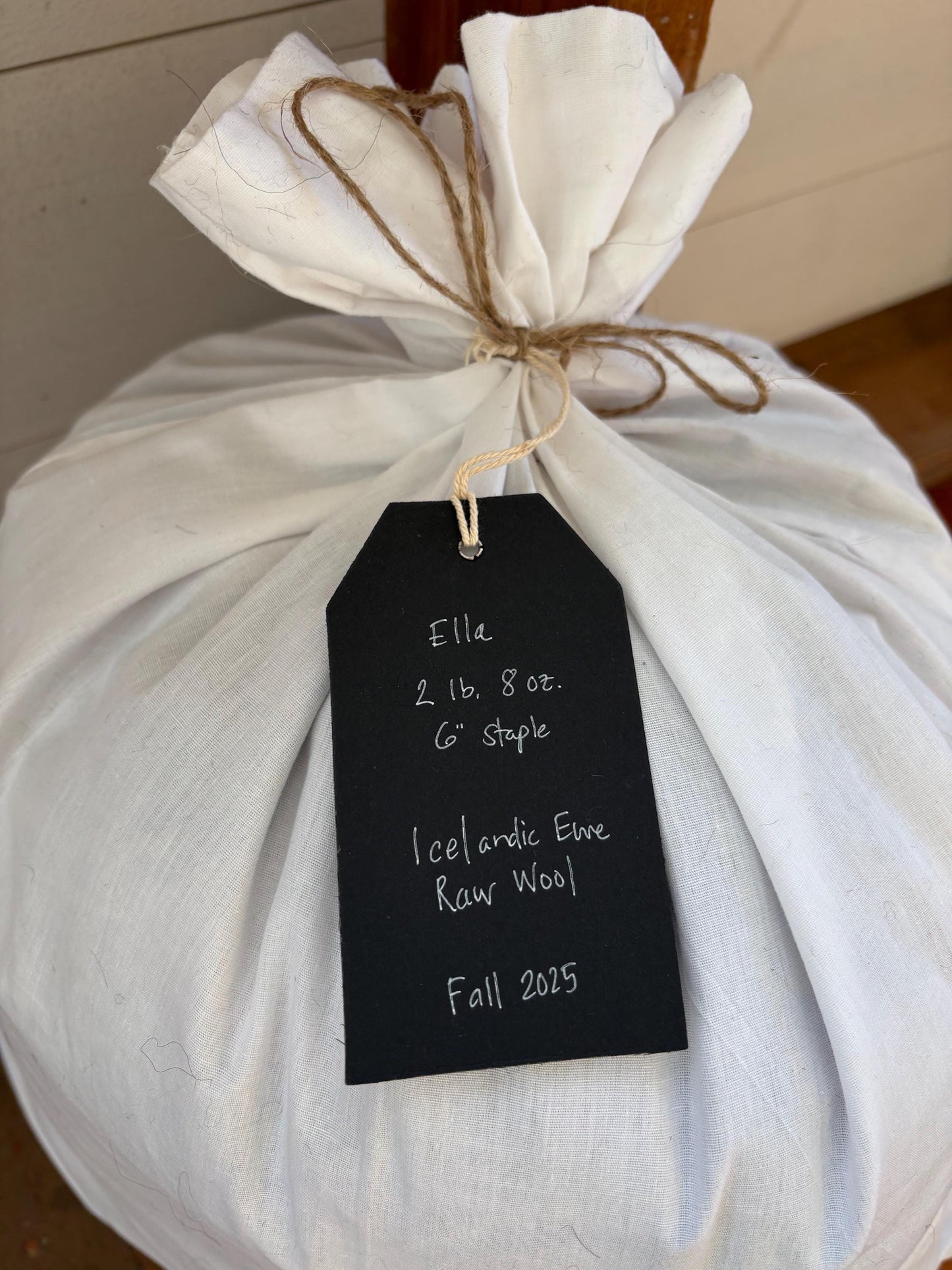 Icelandic Ewe Raw Wool Fleece (Fall Shearing)