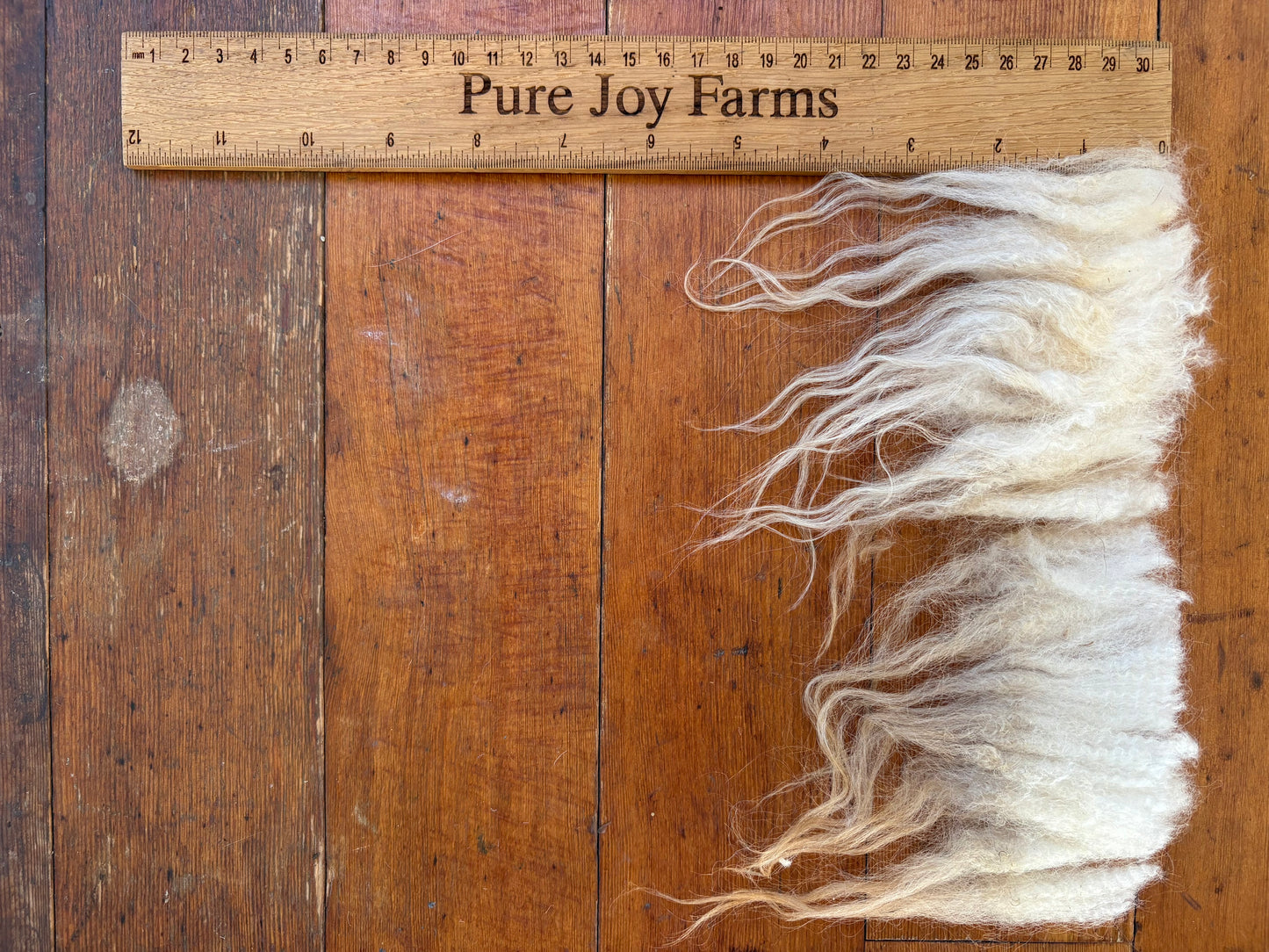 Icelandic Ewe Raw Wool Fleece