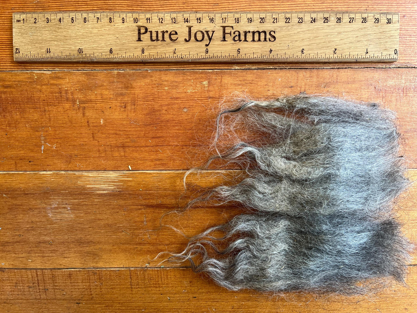 Icelandic Wether Raw Wool Fleece
