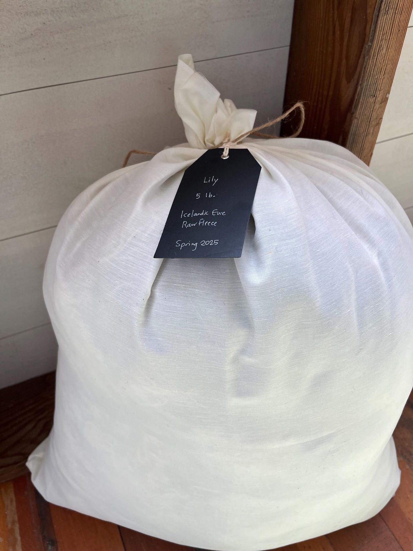 Icelandic Ewe Raw Wool Fleece