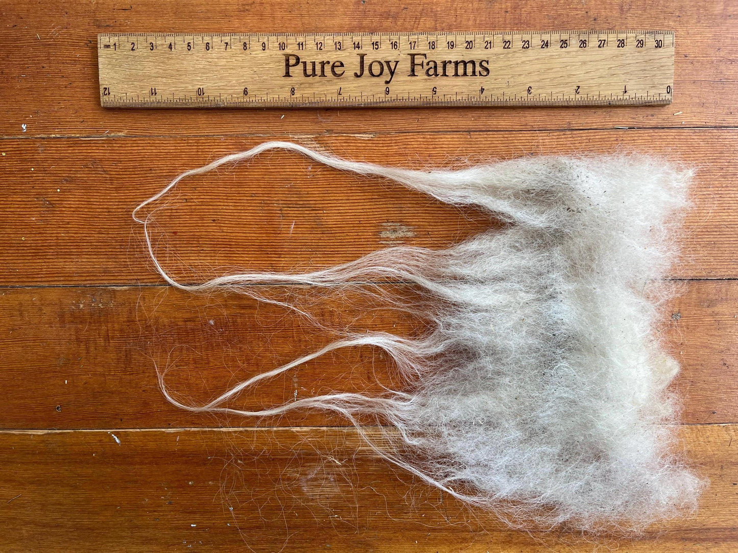 Icelandic Ewe Raw Wool Fleece