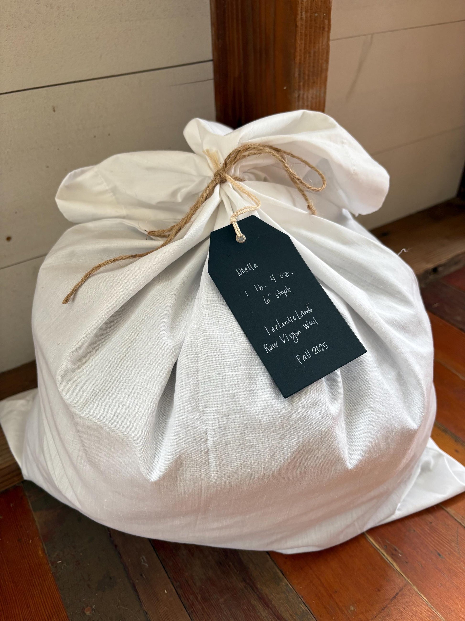 Icelandic Lamb Raw Wool Fleece (Fall Shearing)