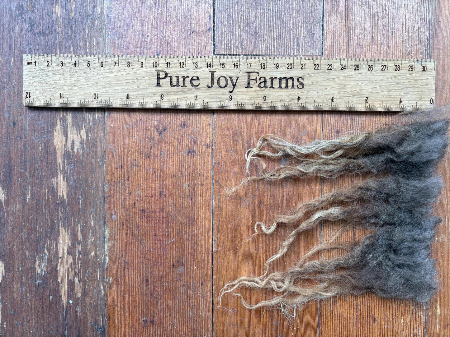 Icelandic Lamb Raw Wool Fleece (Fall Shearing)