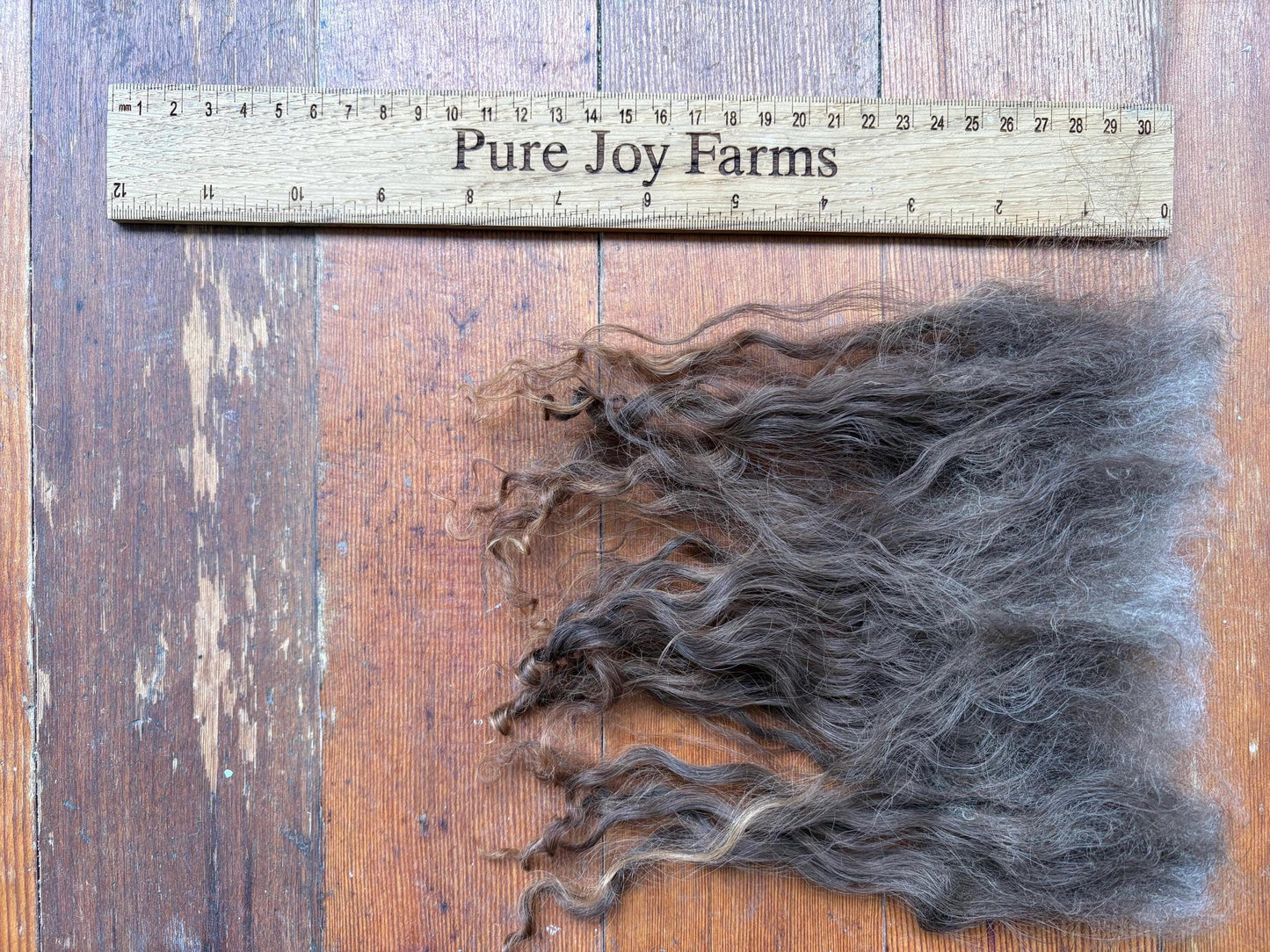 Icelandic Lamb Raw Wool Fleece (Fall Shearing)
