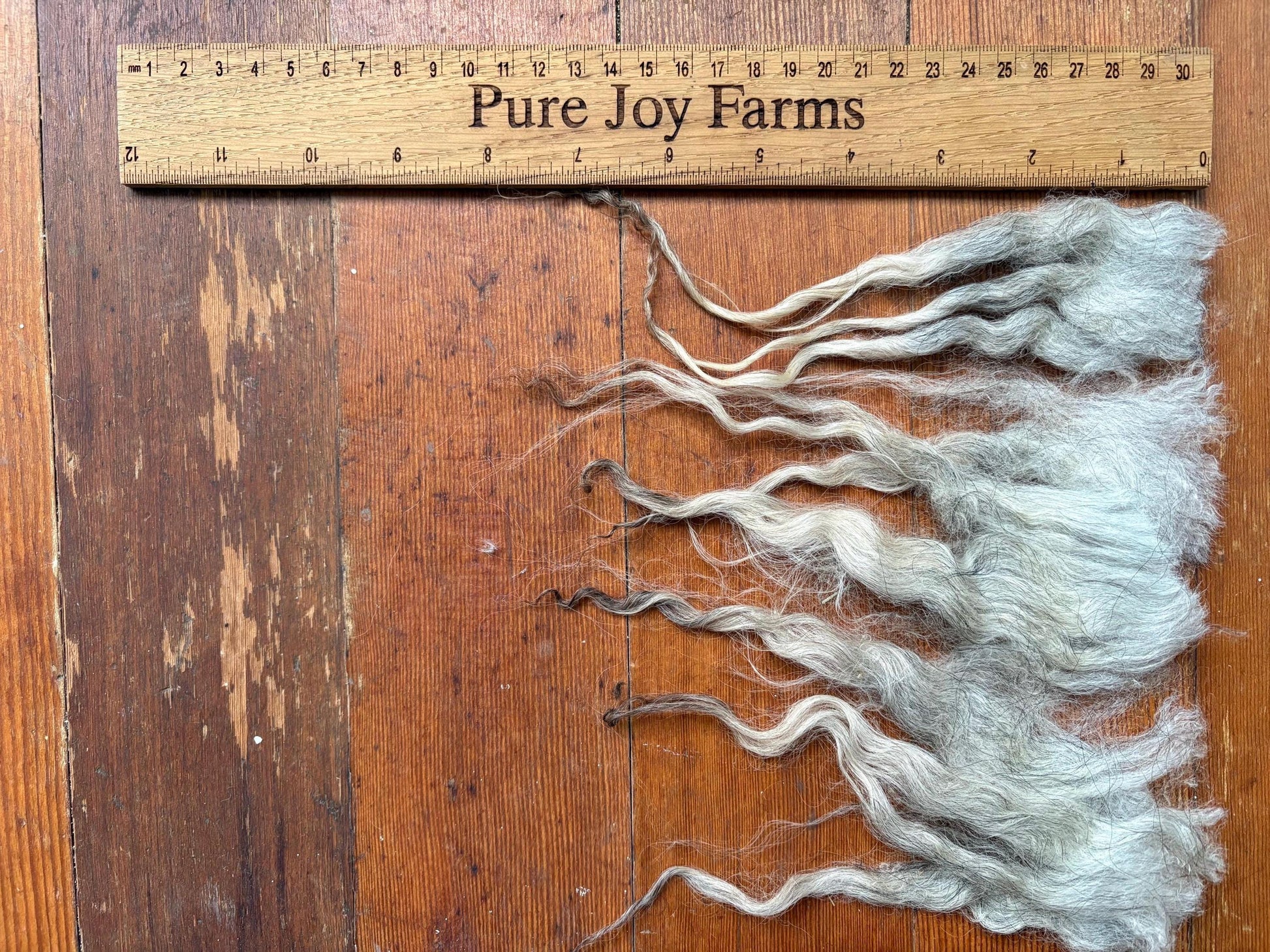 Icelandic Lamb Raw Wool Fleece (Fall Shearing)