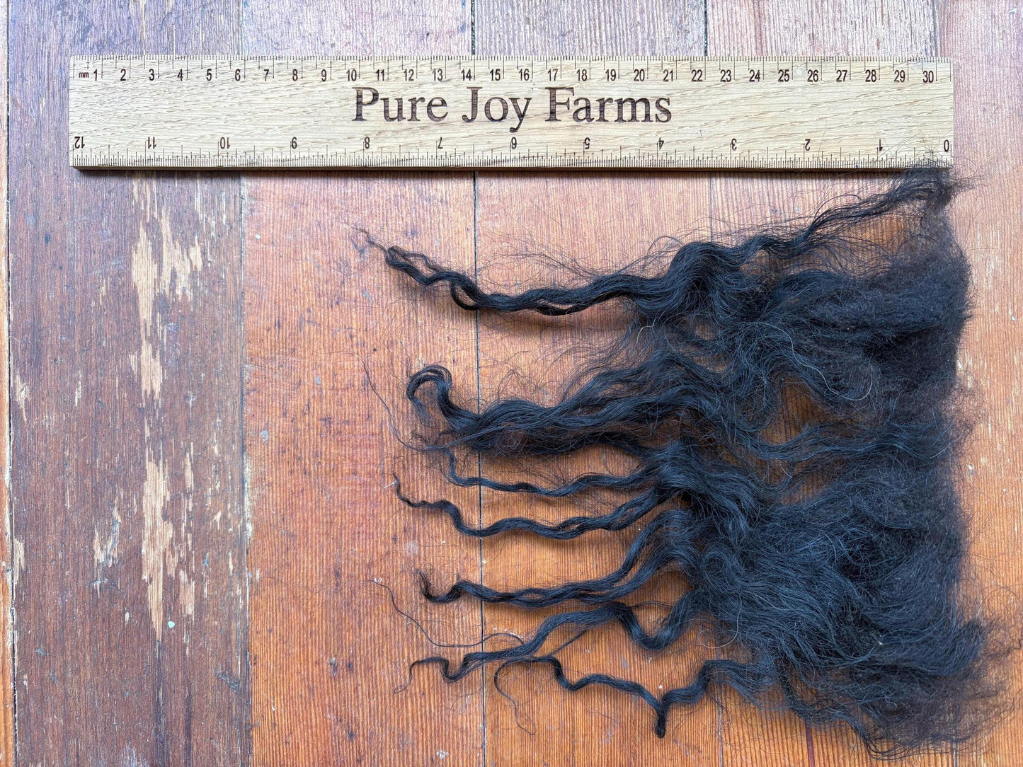 Icelandic Lamb Raw Wool Fleece (Fall Shearing)