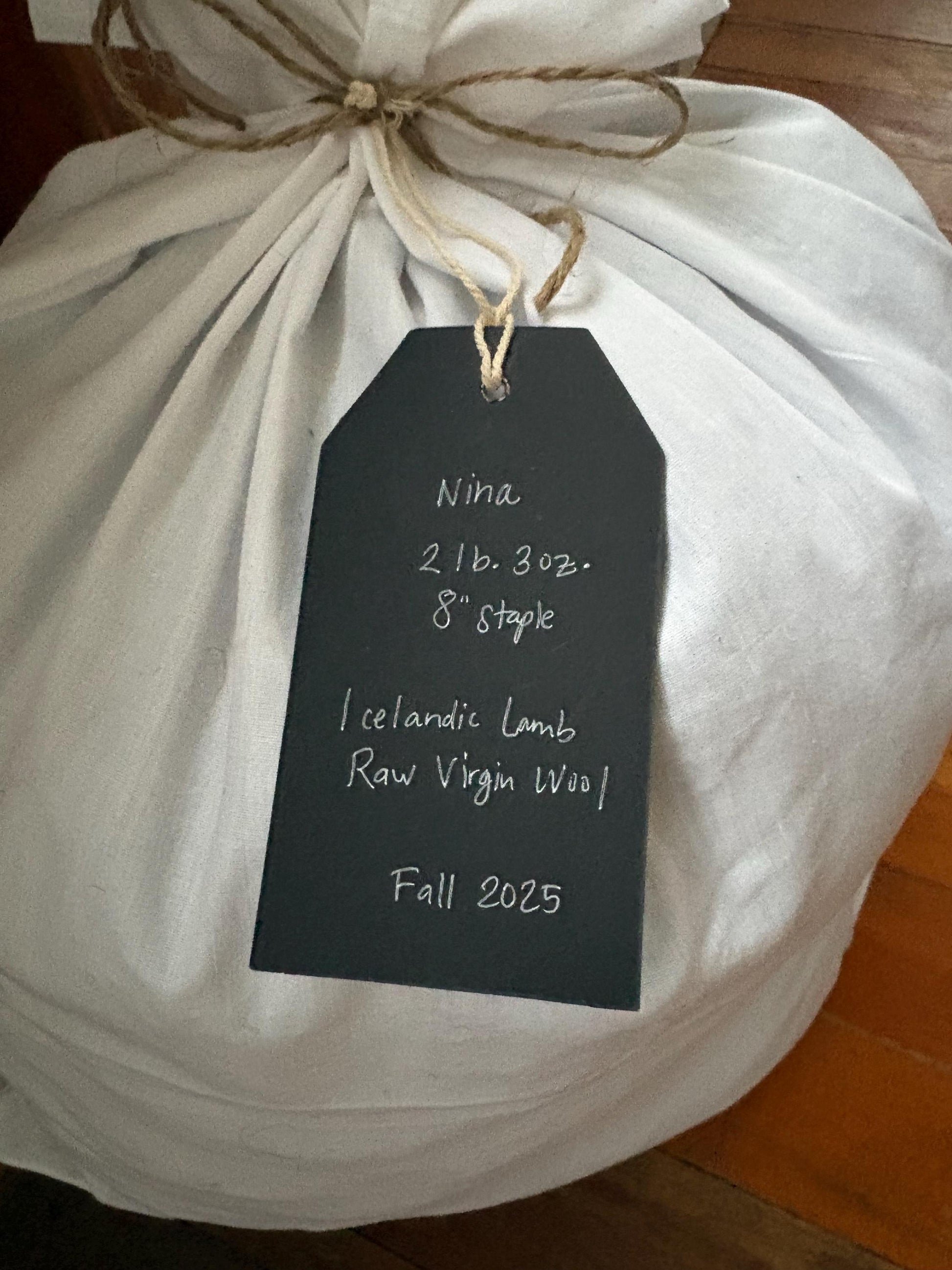 Icelandic Lamb Raw Wool Fleece (Fall Shearing)