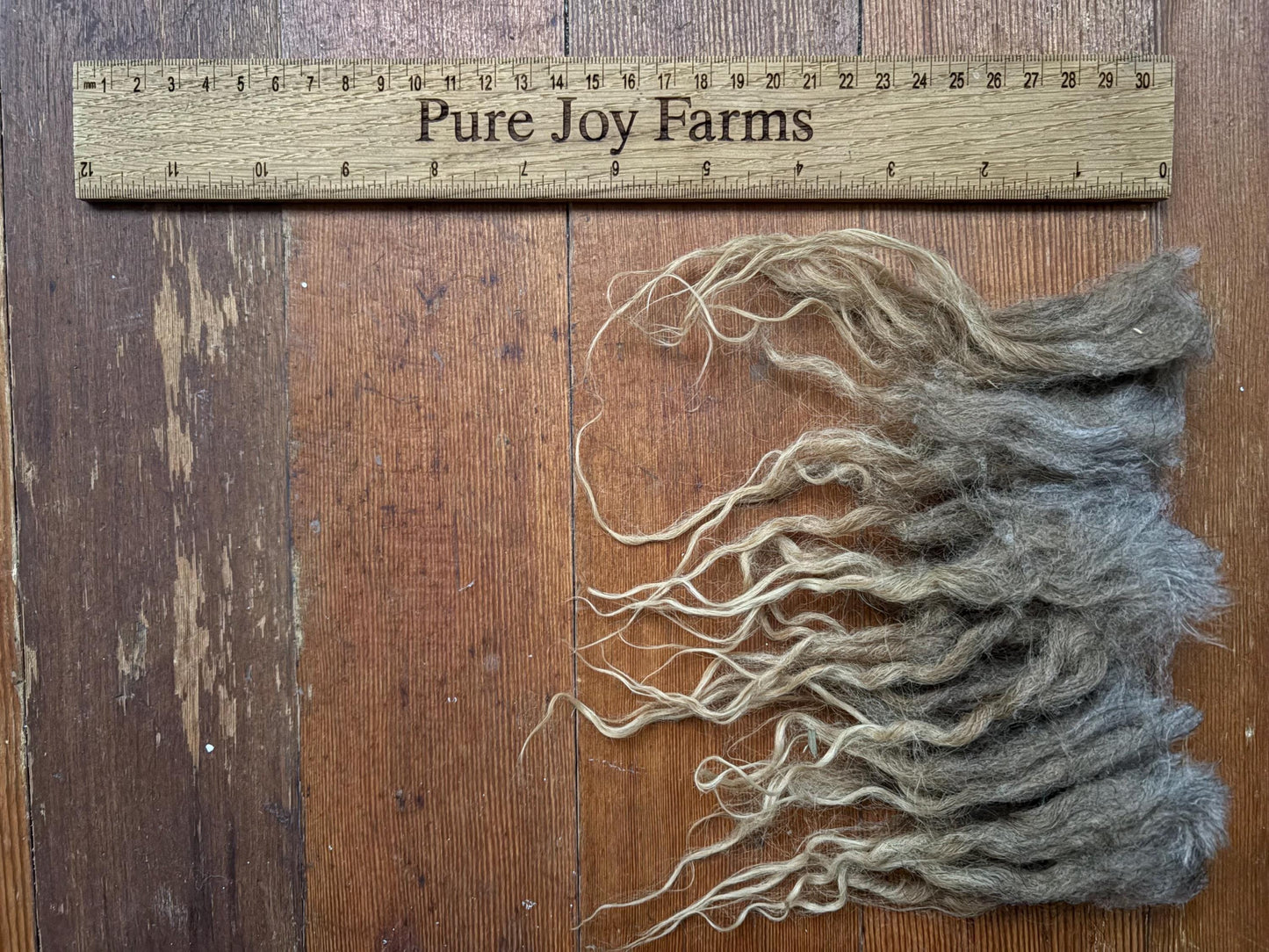 Icelandic Lamb Raw Wool Fleece (Fall Shearing)