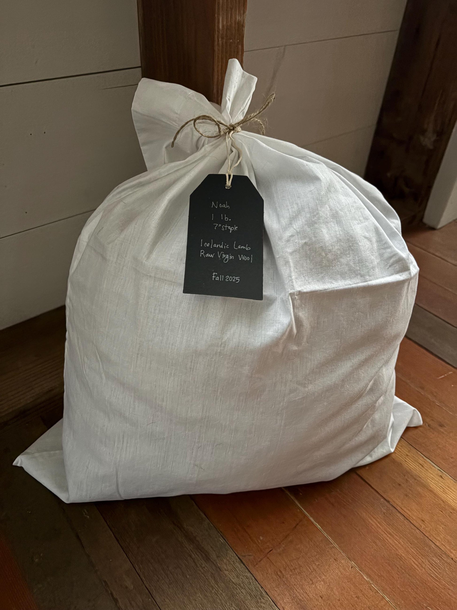 Icelandic Lamb Raw Wool Fleece (Fall Shearing)