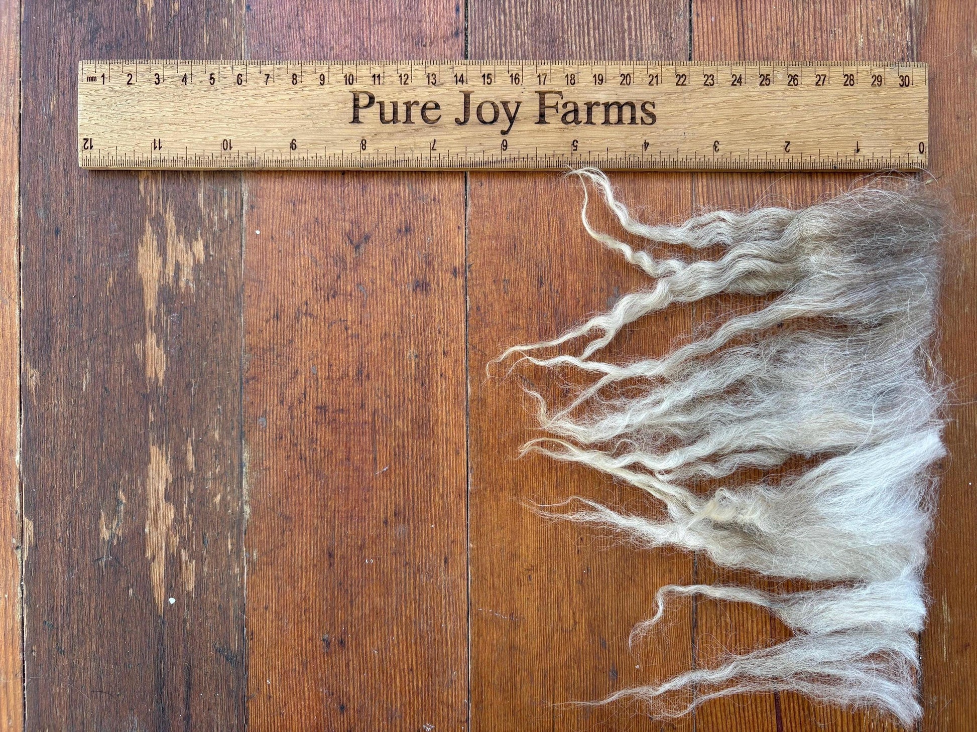 Icelandic Lamb Raw Wool Fleece (Fall Shearing)