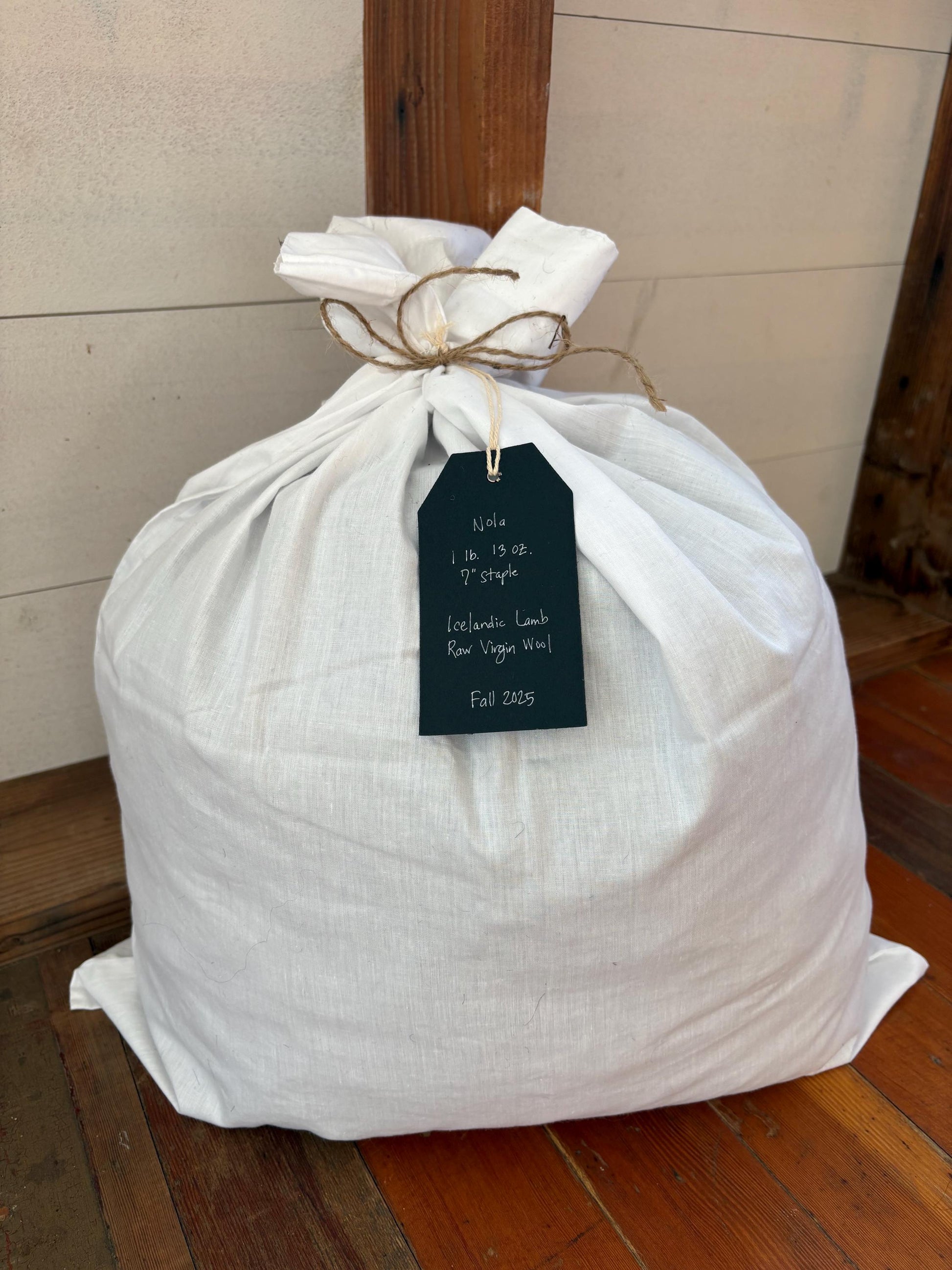 Icelandic Lamb Raw Wool Fleece (Fall Shearing)