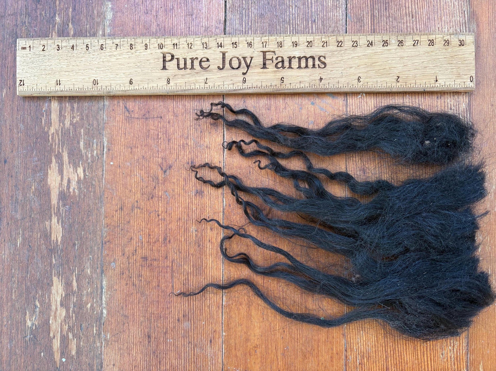 Icelandic Lamb Raw Wool Fleece (Fall Shearing)