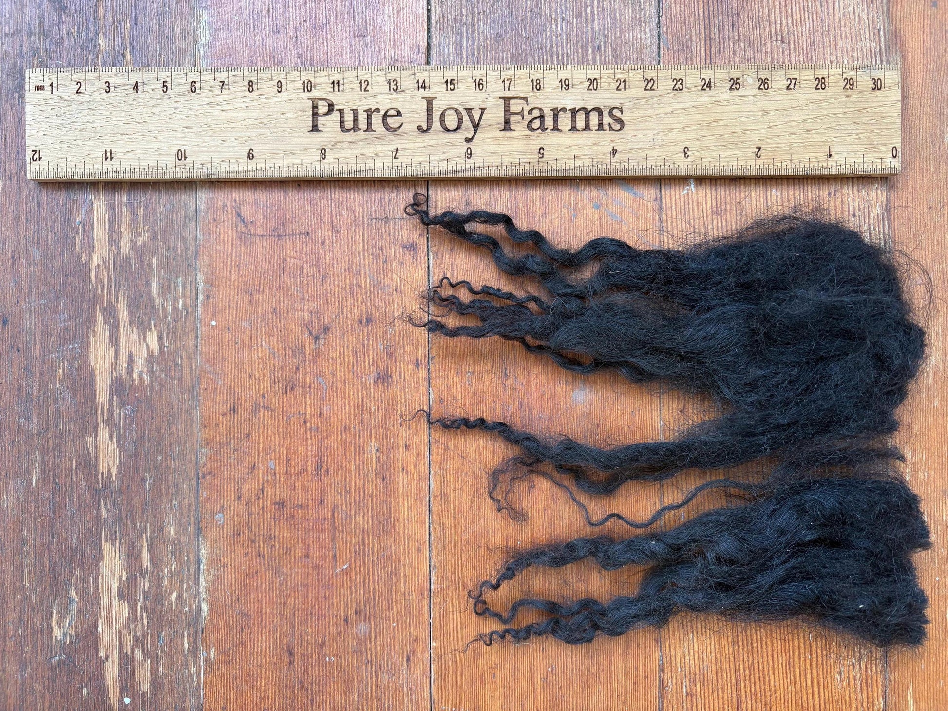 Icelandic Lamb Raw Wool Fleece (Fall Shearing)