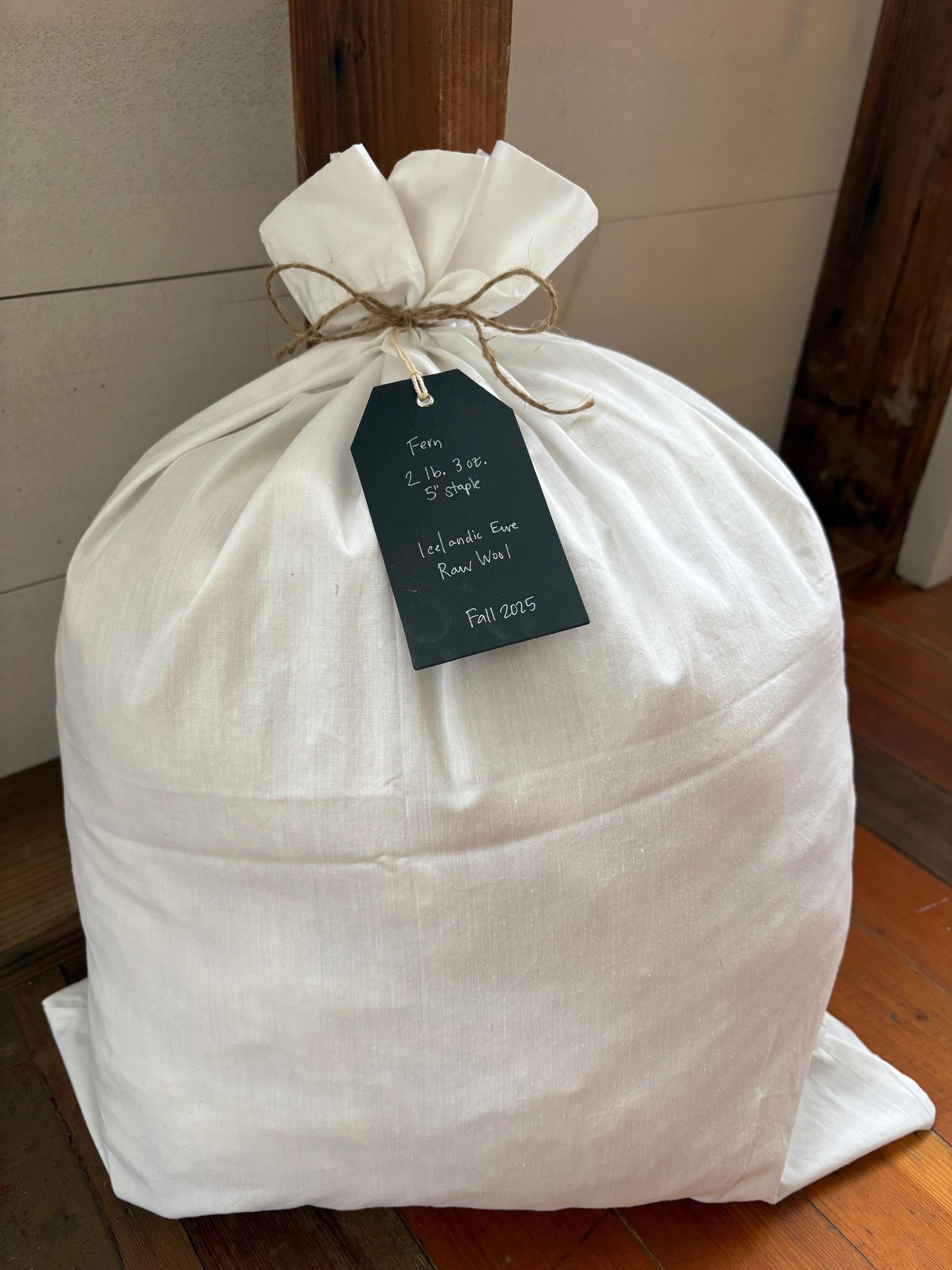 Icelandic Ewe Raw Wool Fleece (Fall Shearing)