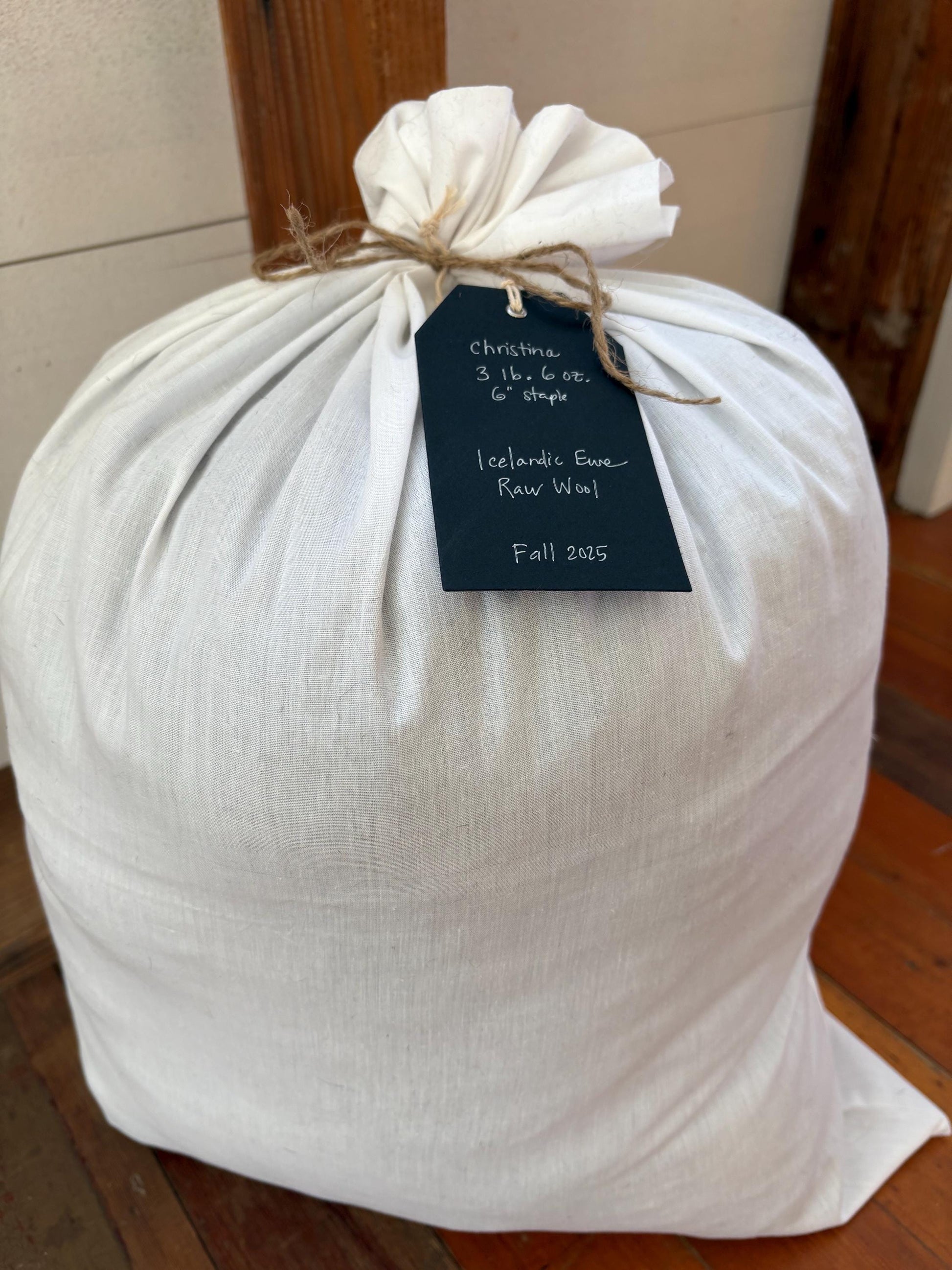 Icelandic Ewe Raw Wool Fleece (Fall Shearing)