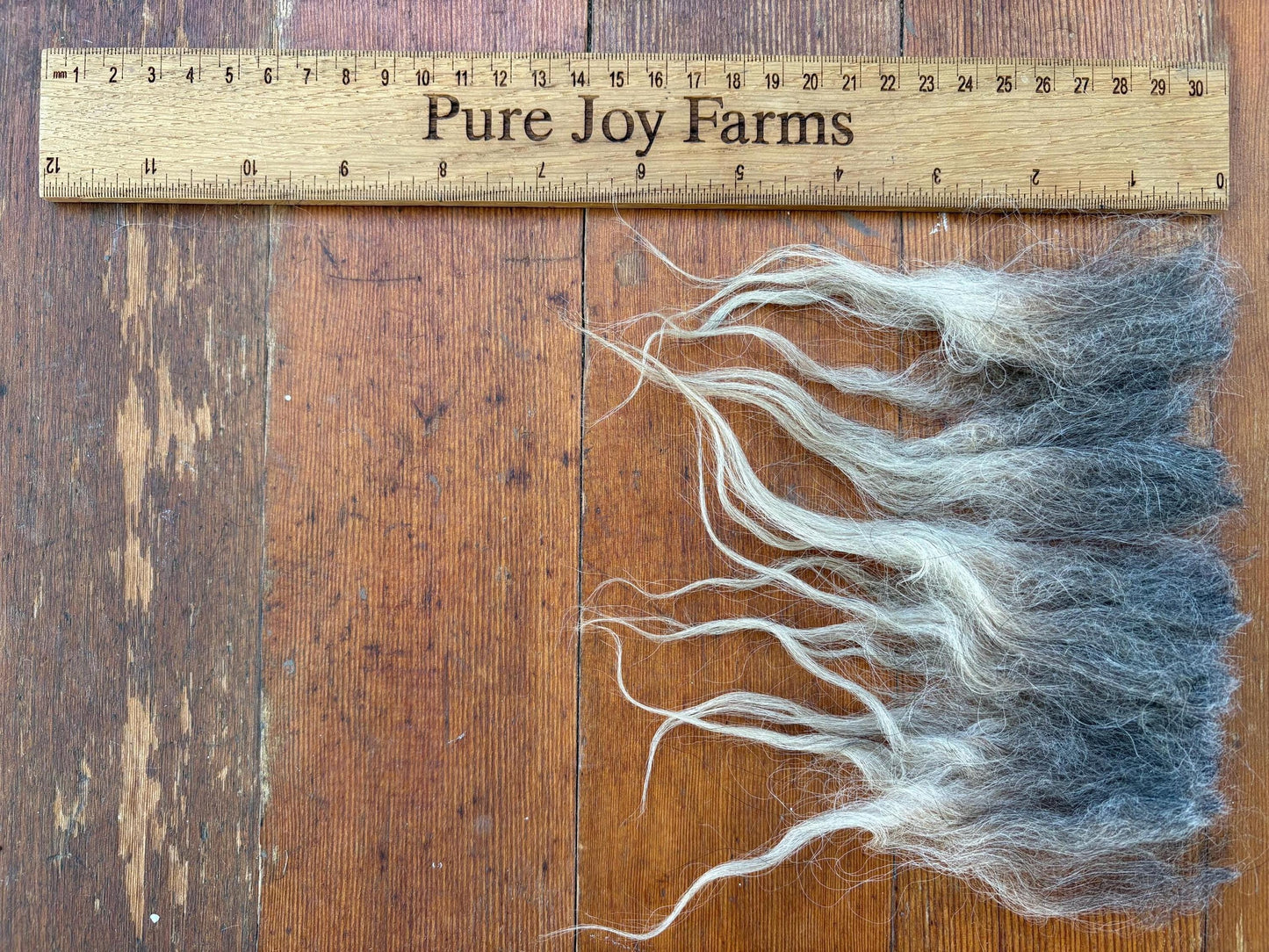 Icelandic Ewe Raw Wool Fleece (Fall Shearing)