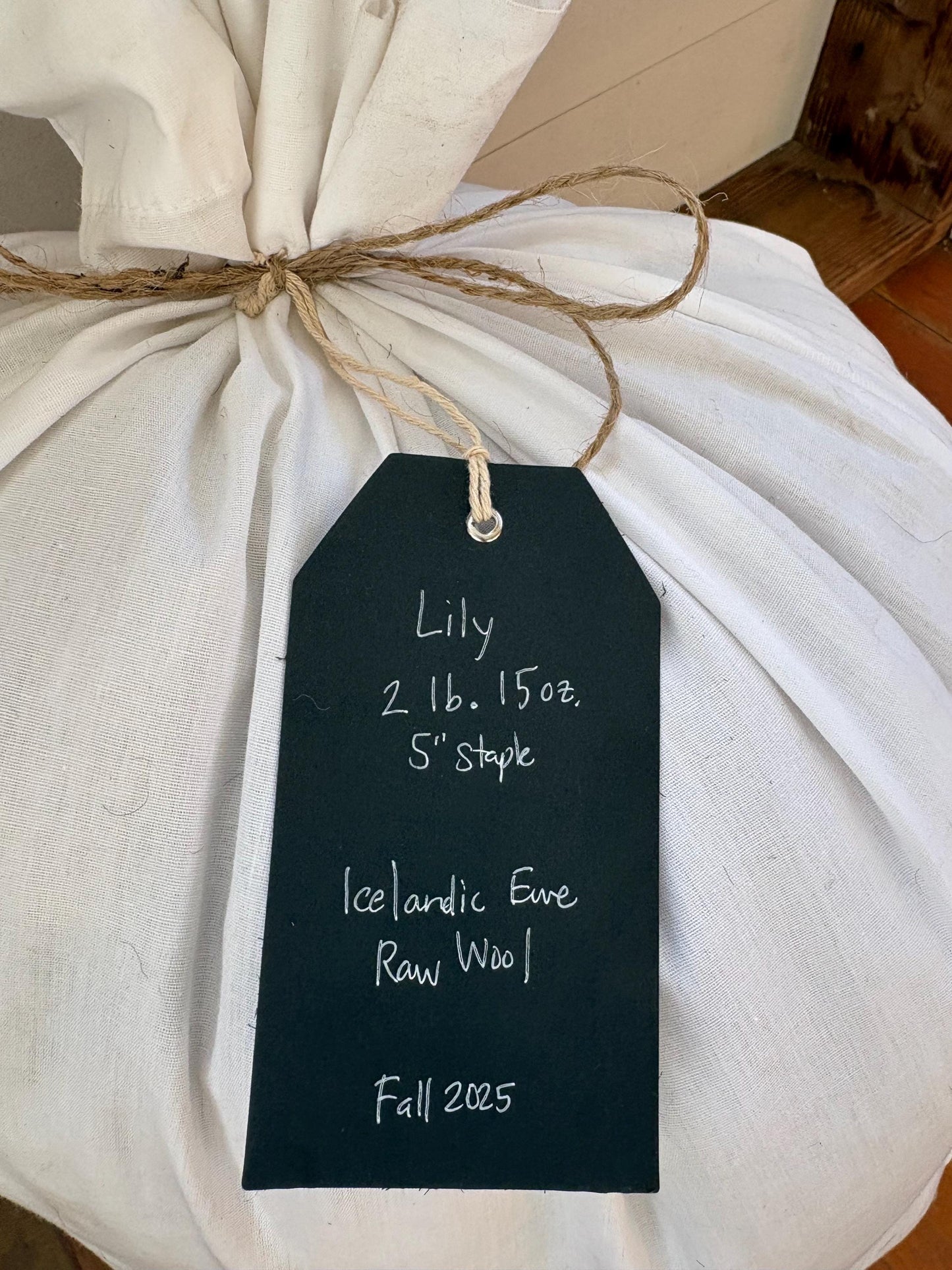 Icelandic Ewe Raw Wool Fleece (Fall Shearing)