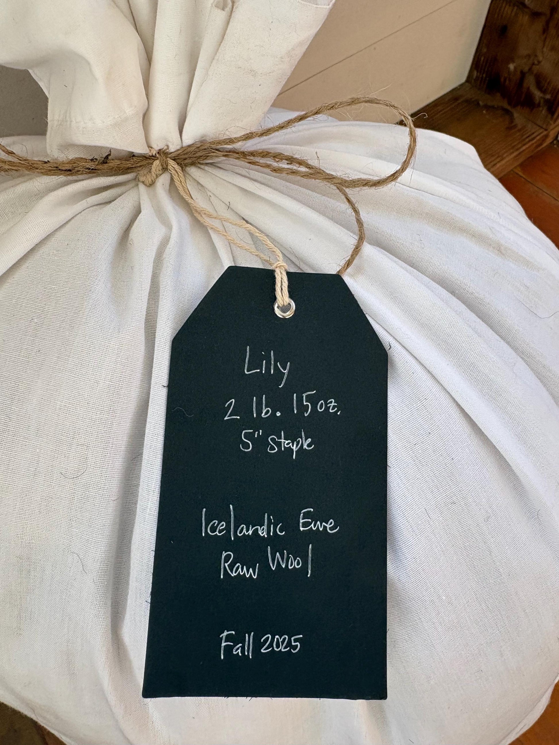 Icelandic Ewe Raw Wool Fleece (Fall Shearing)