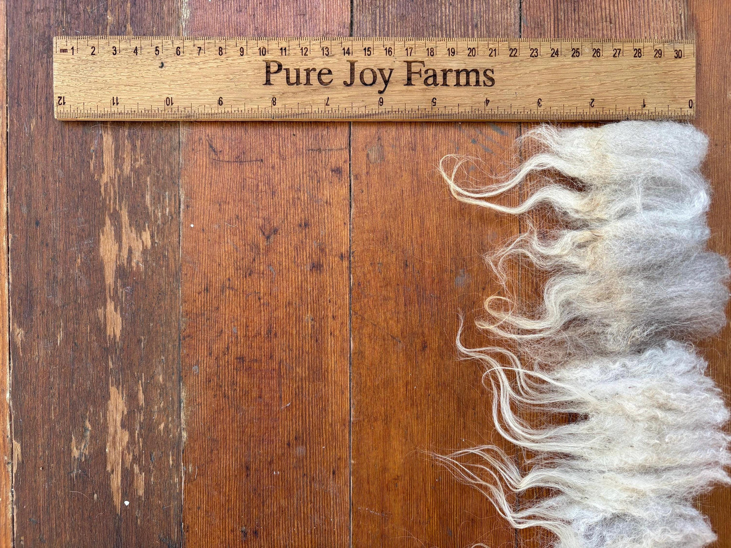 Icelandic Ewe Raw Wool Fleece (Fall Shearing)