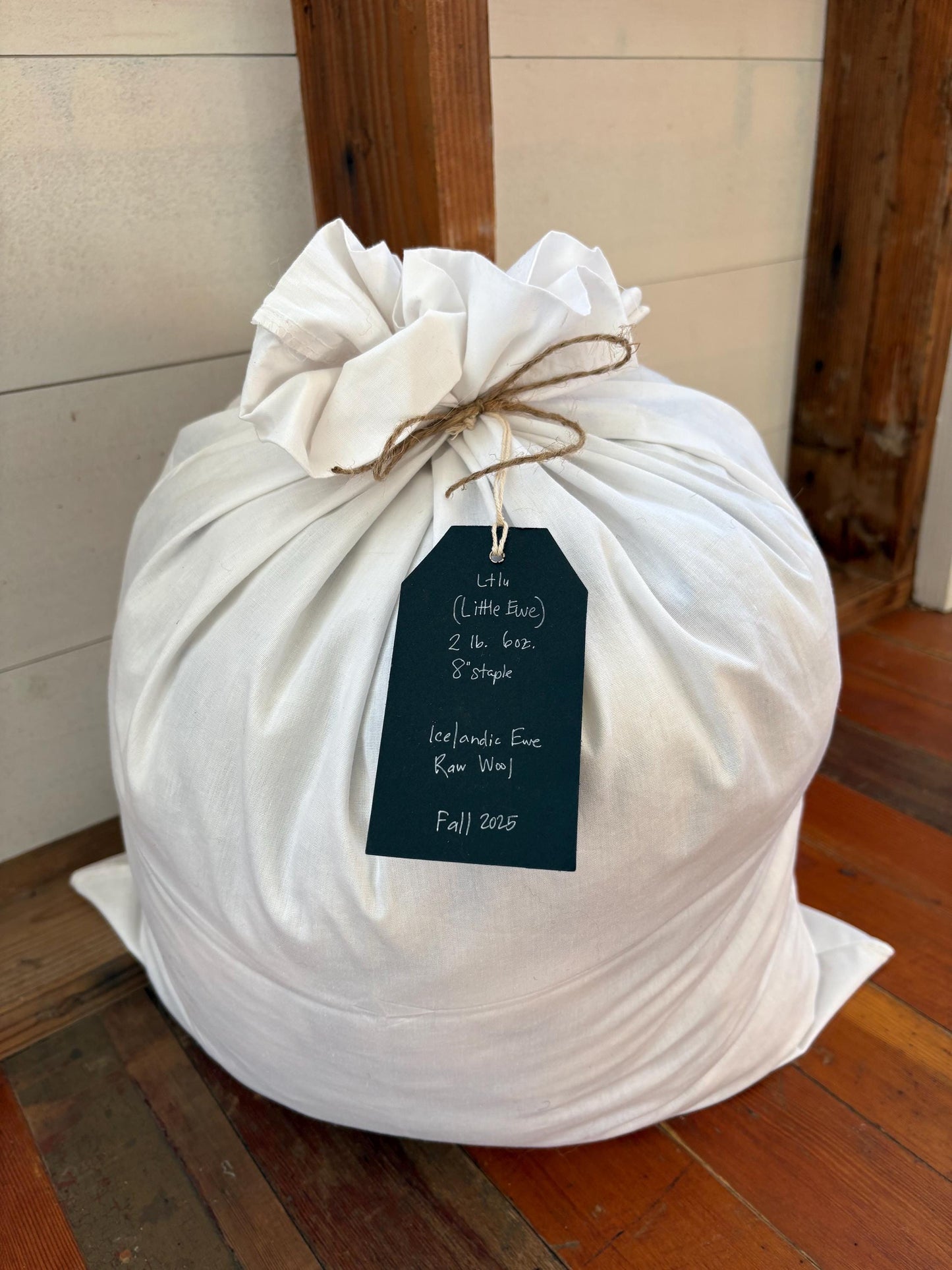 Icelandic Ewe Raw Wool Fleece (Fall Shearing)