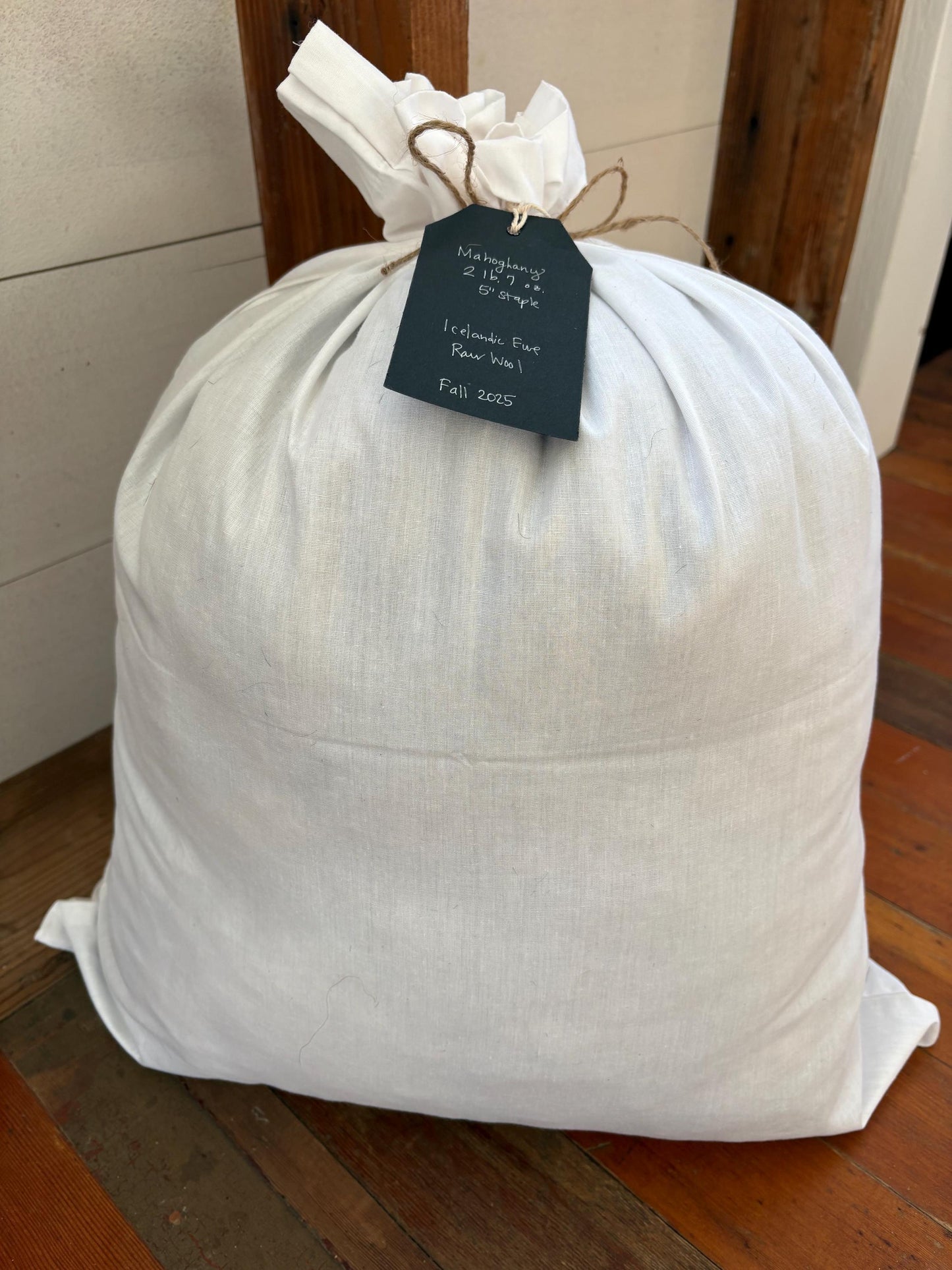 Icelandic Ewe Raw Wool Fleece (Fall Shearing)