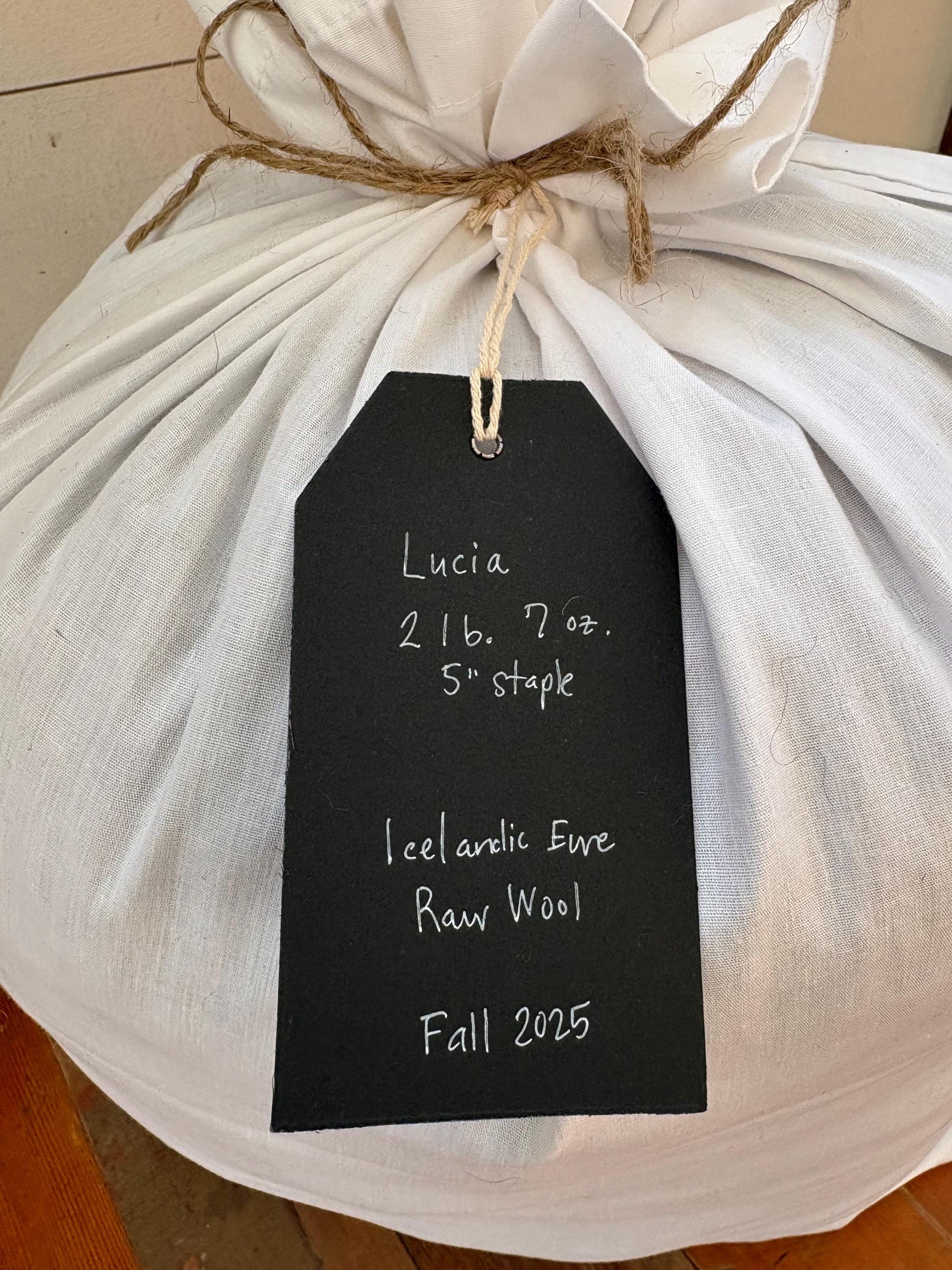 Icelandic Ewe Raw Wool Fleece (Fall Shearing)