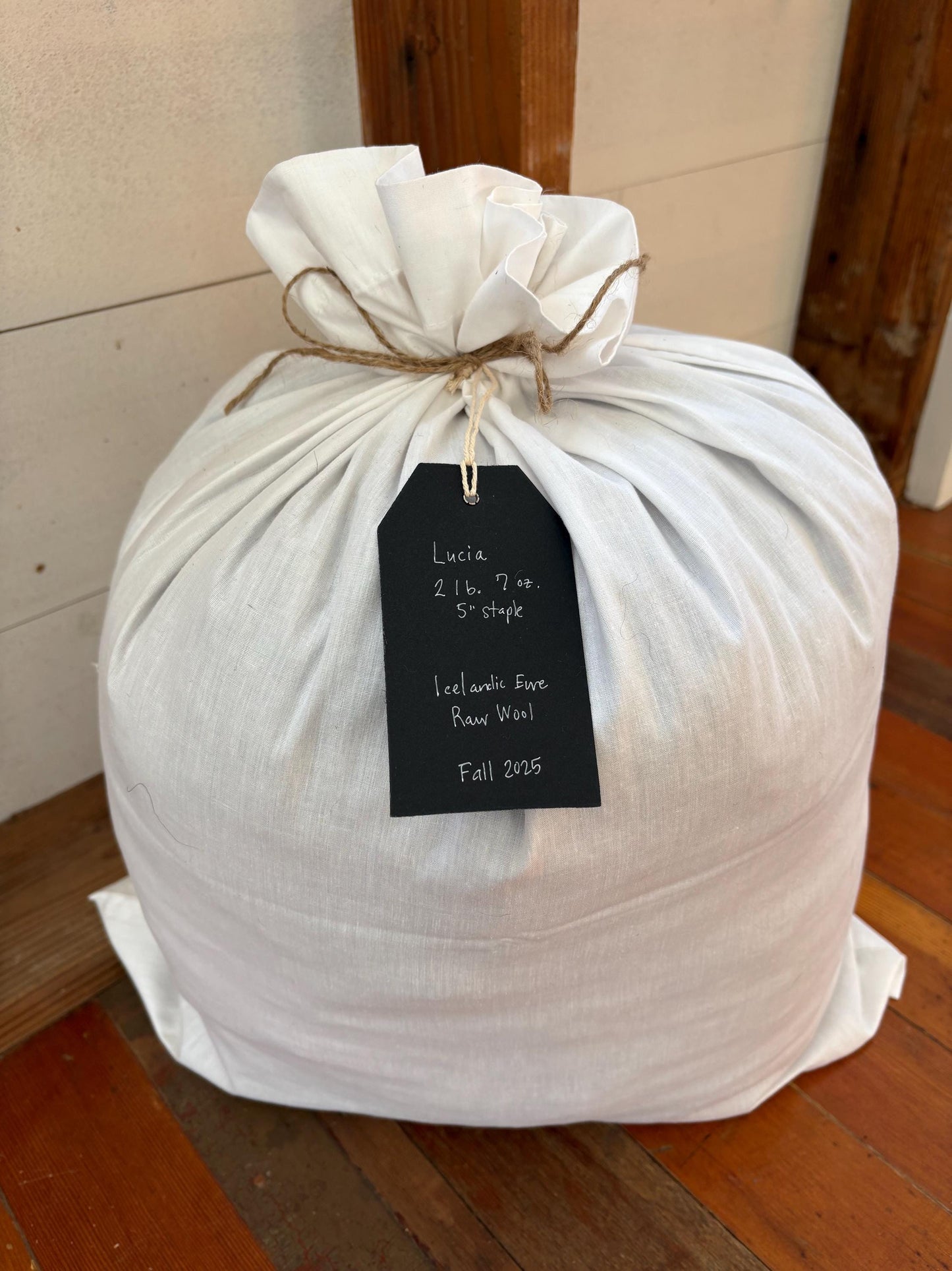 Icelandic Ewe Raw Wool Fleece (Fall Shearing)