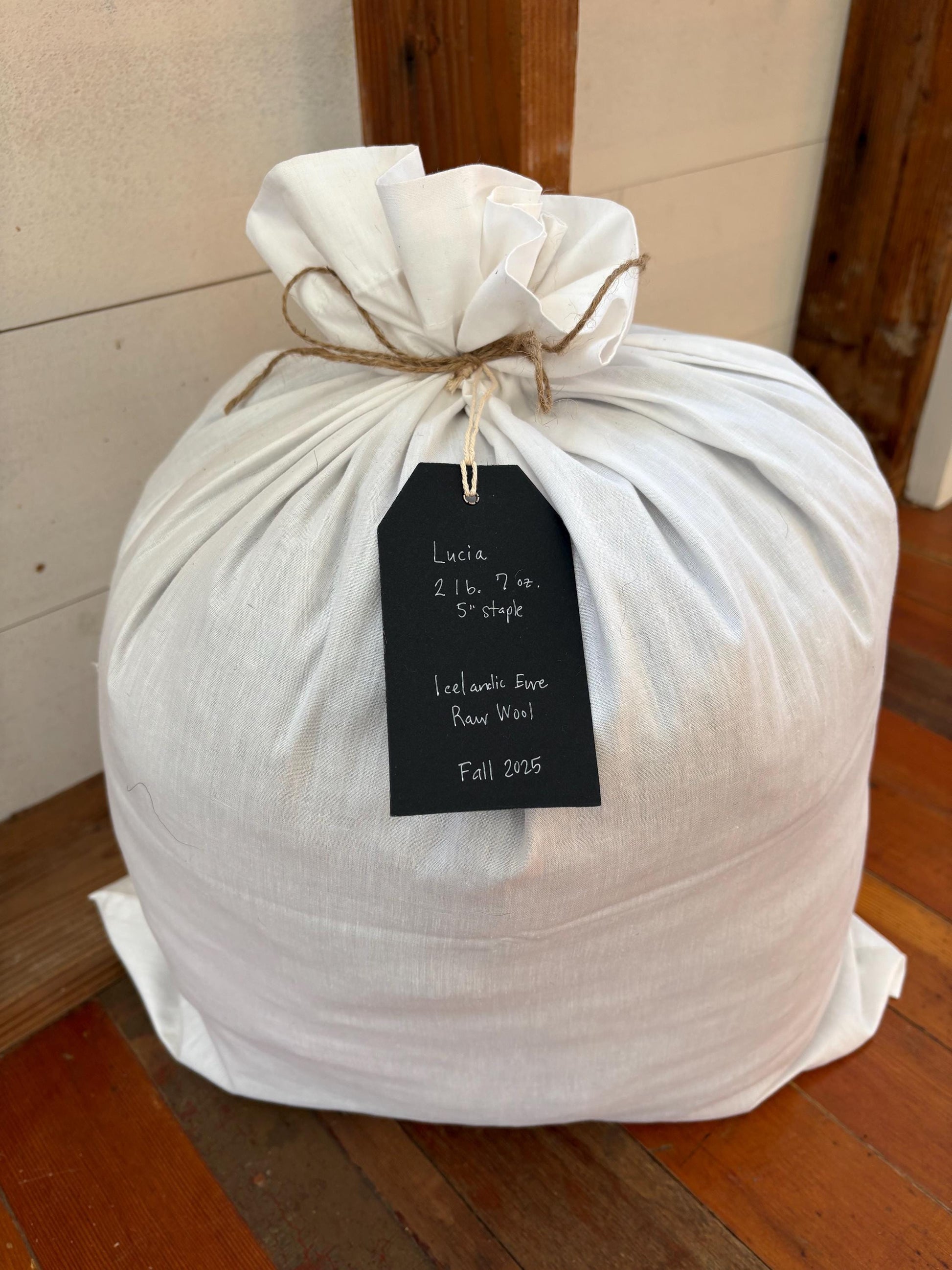 Icelandic Ewe Raw Wool Fleece (Fall Shearing)