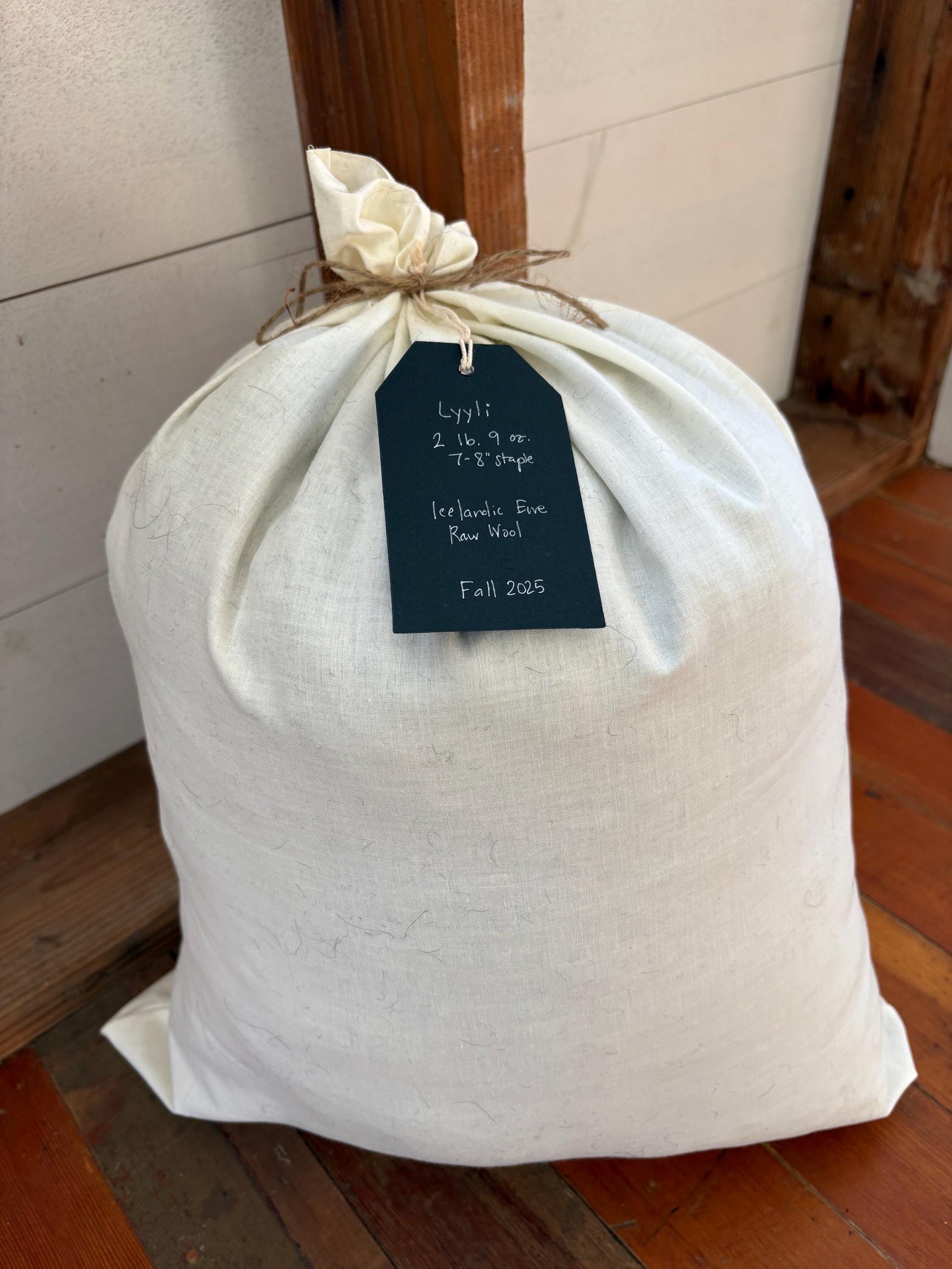 Icelandic Ewe Raw Wool Fleece (Fall Shearing)