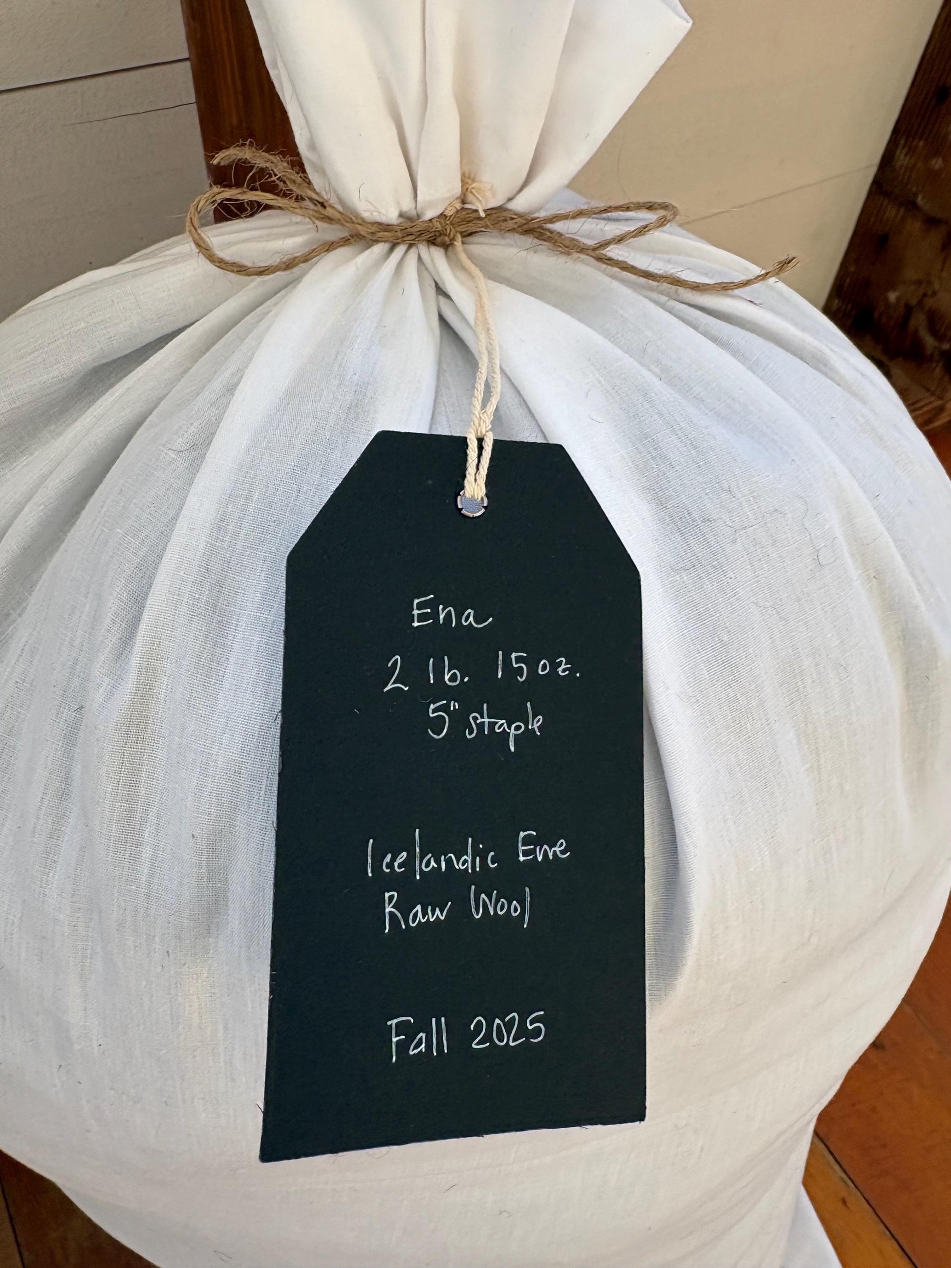 Icelandic Ewe Raw Wool Fleece (Fall Shearing)