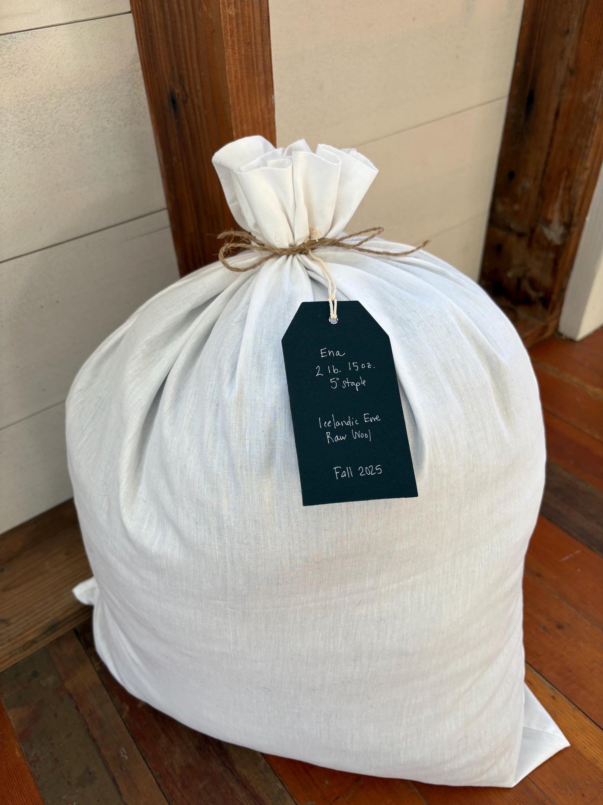 Icelandic Ewe Raw Wool Fleece (Fall Shearing)