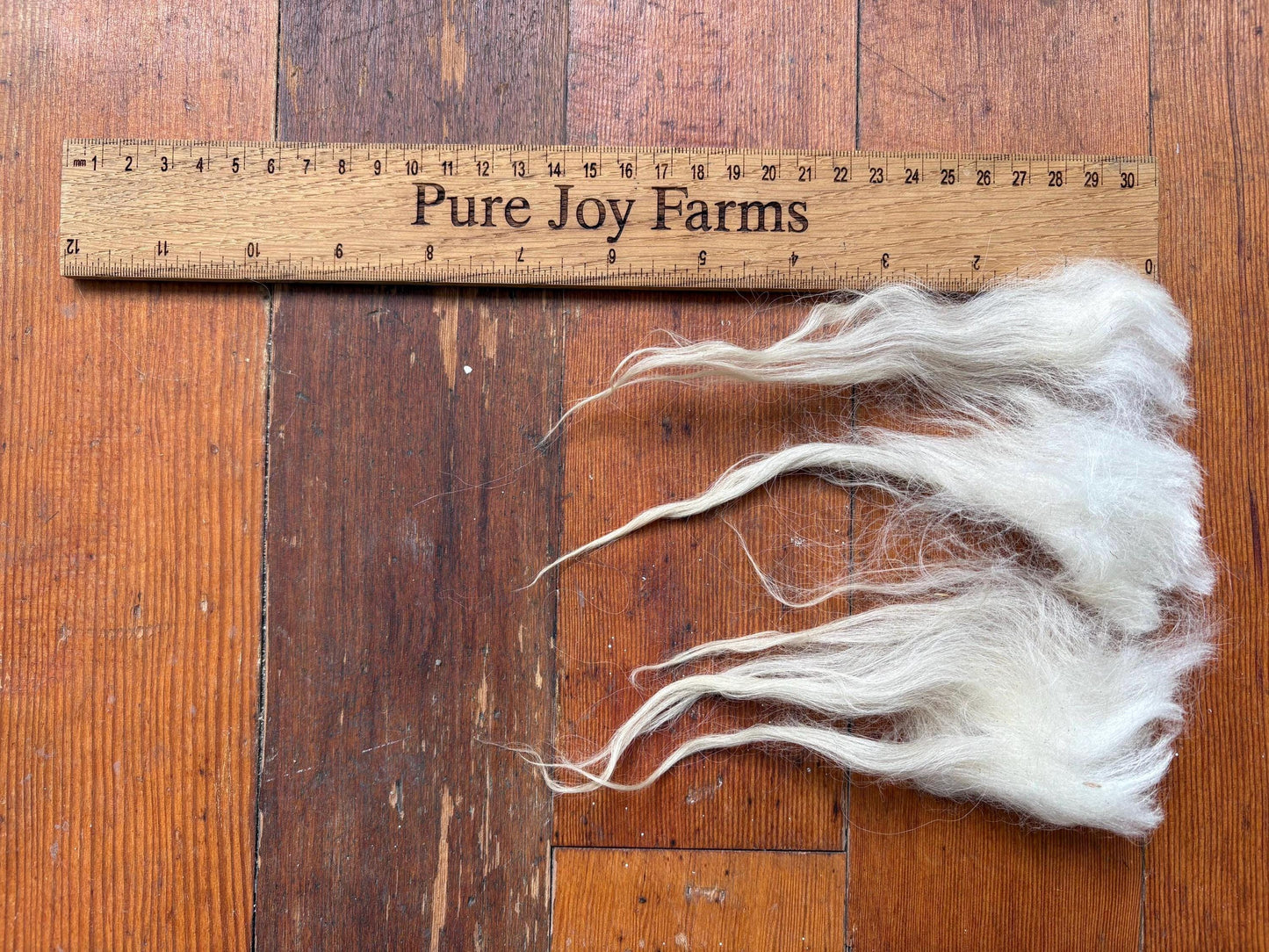 Icelandic Lamb Raw Wool Fleece (Fall Shearing)
