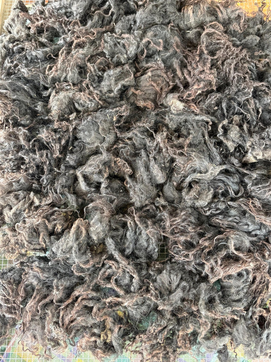 Icelandic Lamb Raw Wool Fleece (Fall Shearing)