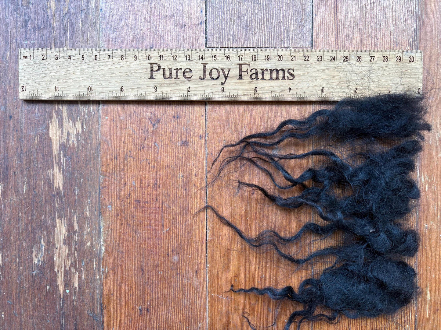 Icelandic Lamb Raw Wool Fleece (Fall Shearing)