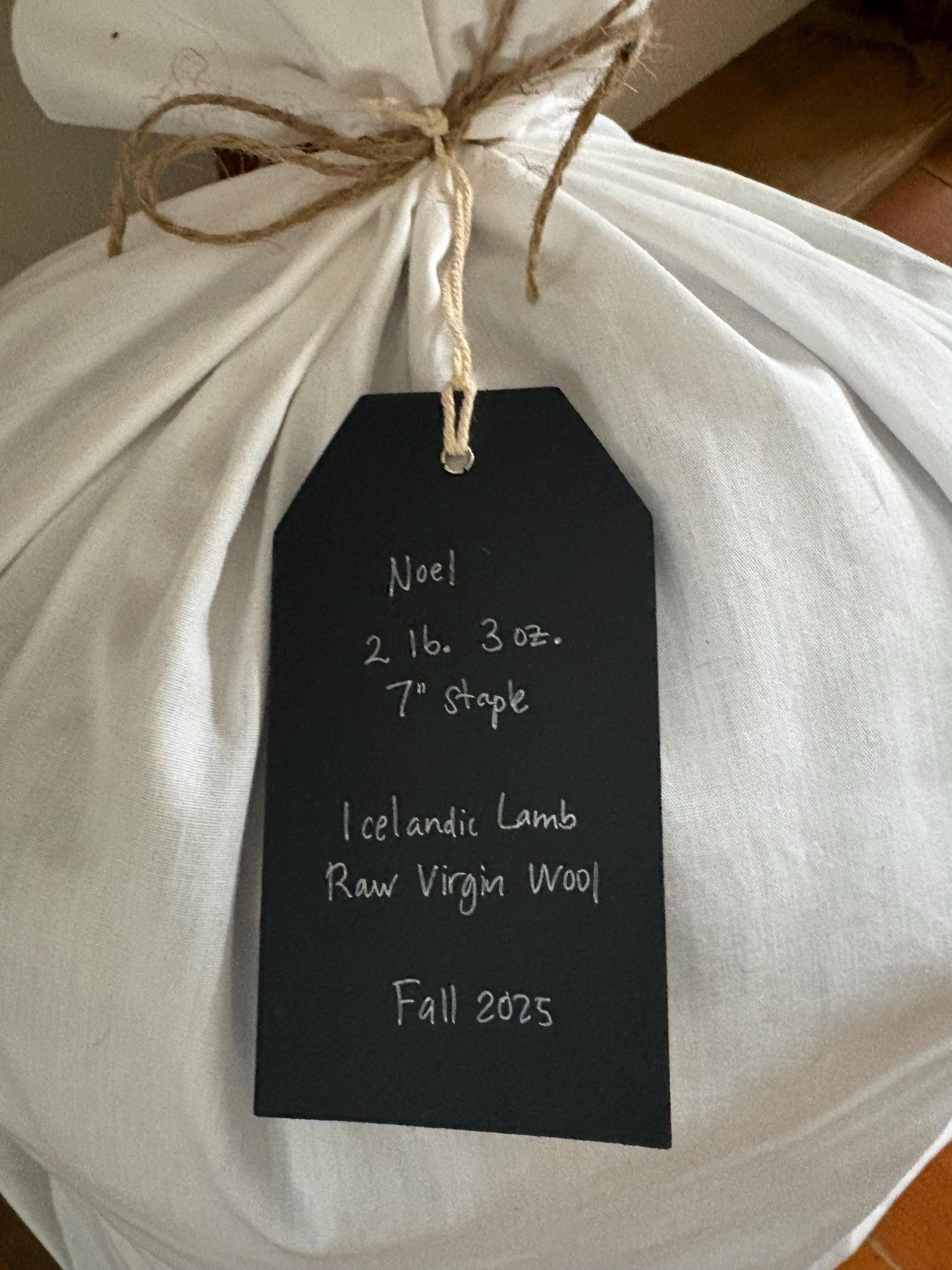 Icelandic Lamb Raw Wool Fleece (Fall Shearing)