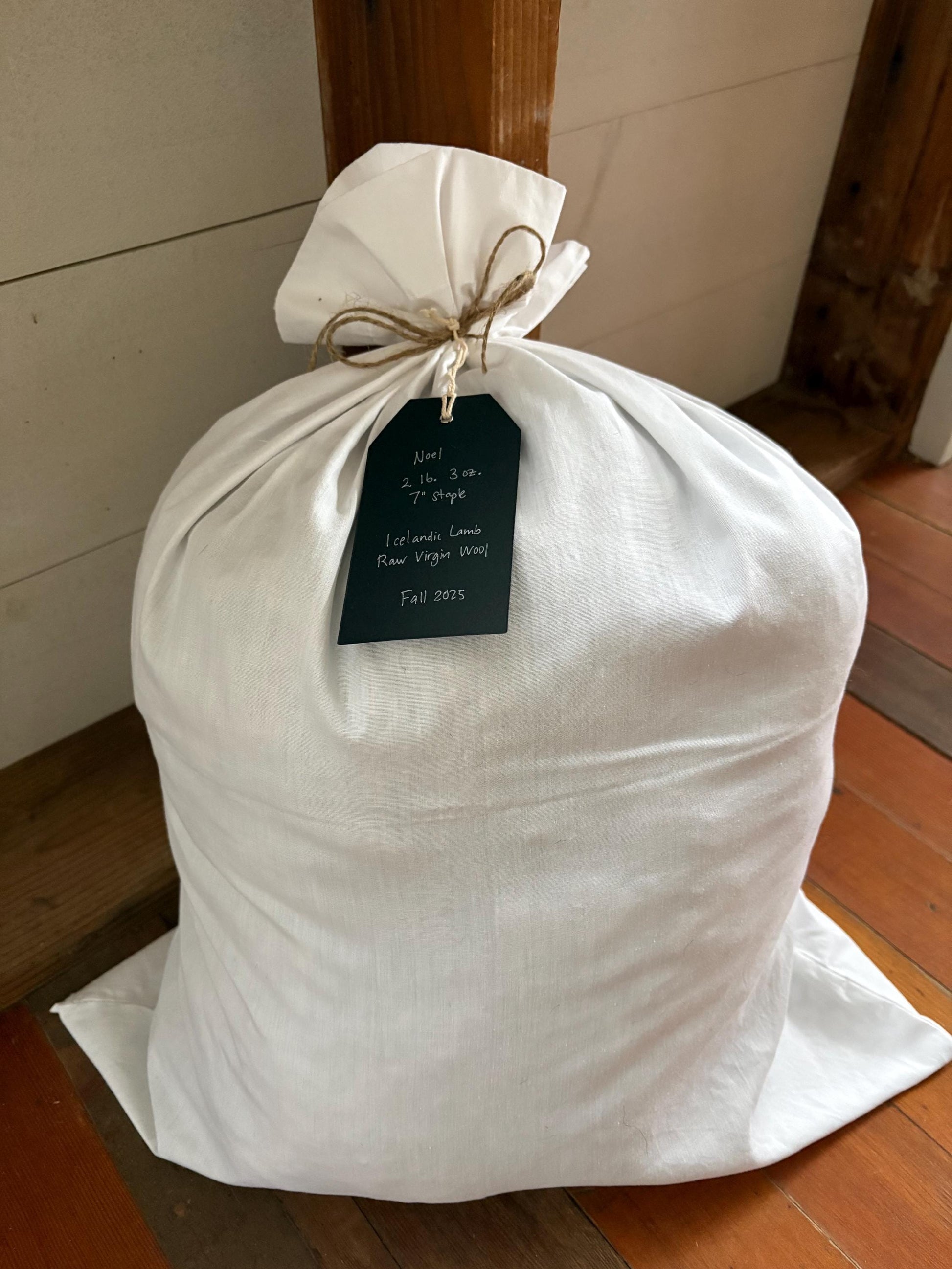 Icelandic Lamb Raw Wool Fleece (Fall Shearing)