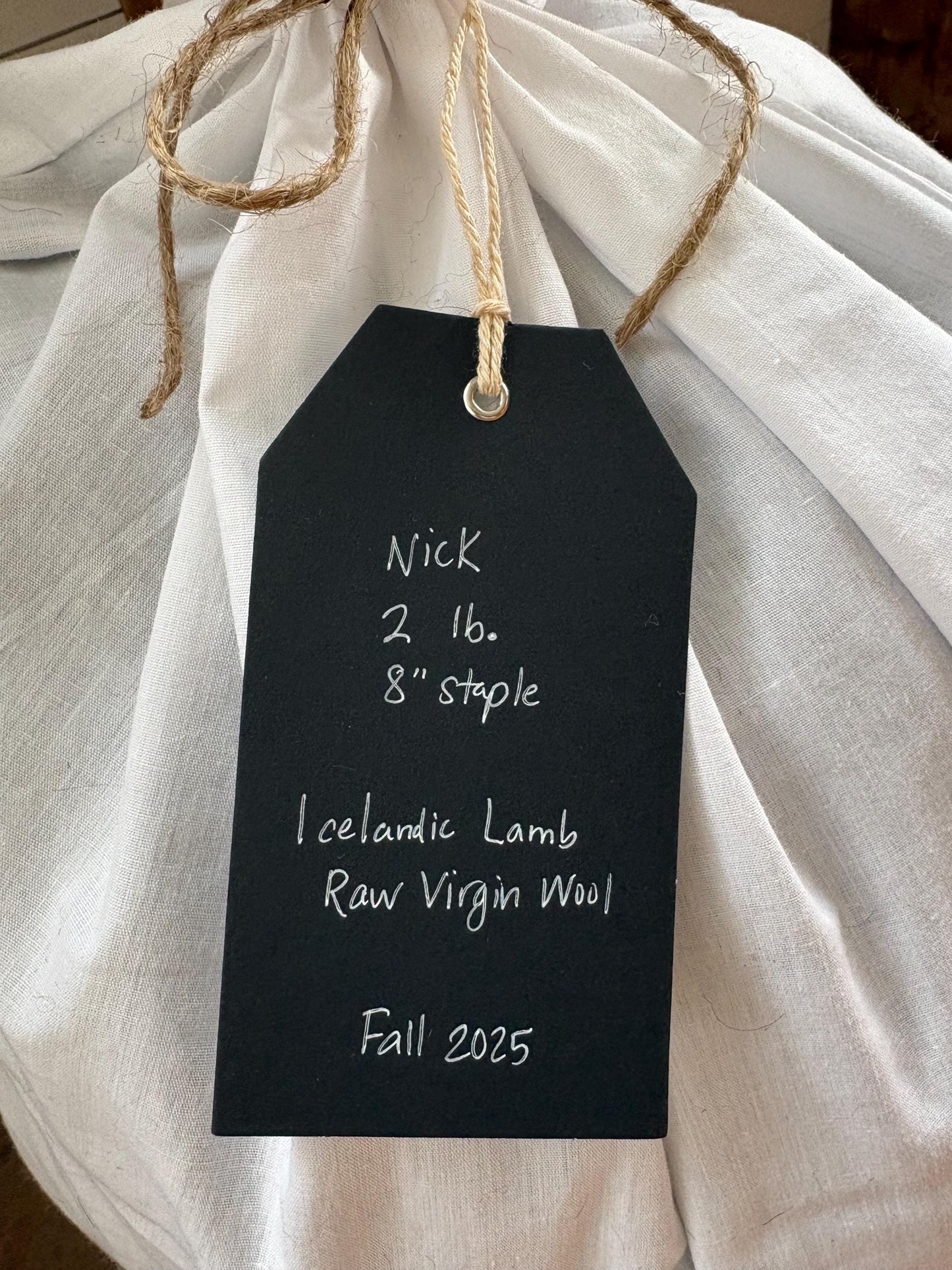 Icelandic Lamb Raw Wool Fleece (Fall Shearing)