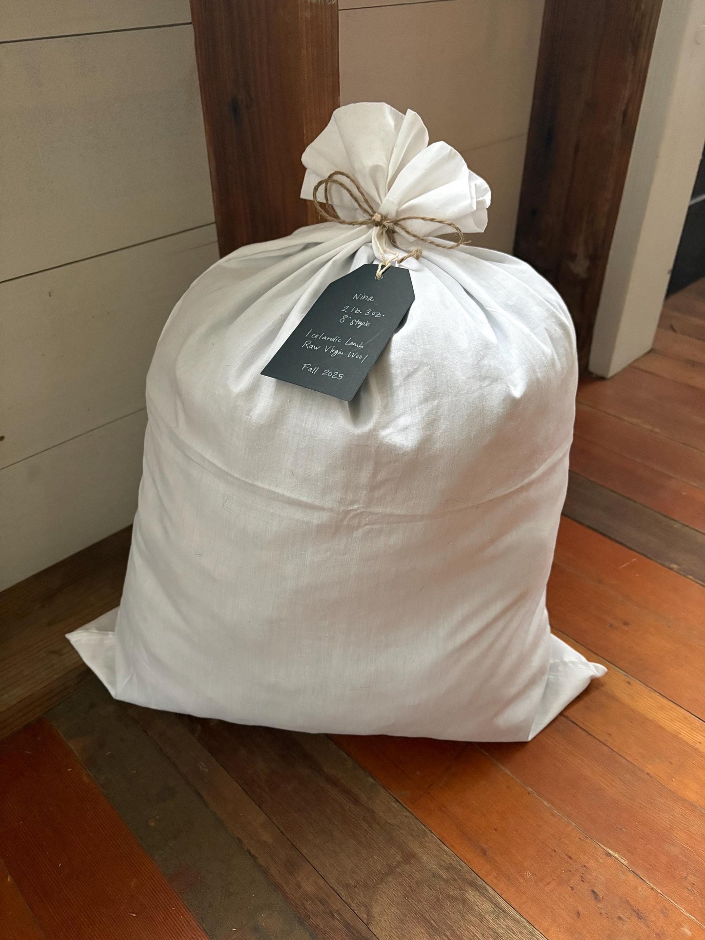 Icelandic Lamb Raw Wool Fleece (Fall Shearing)