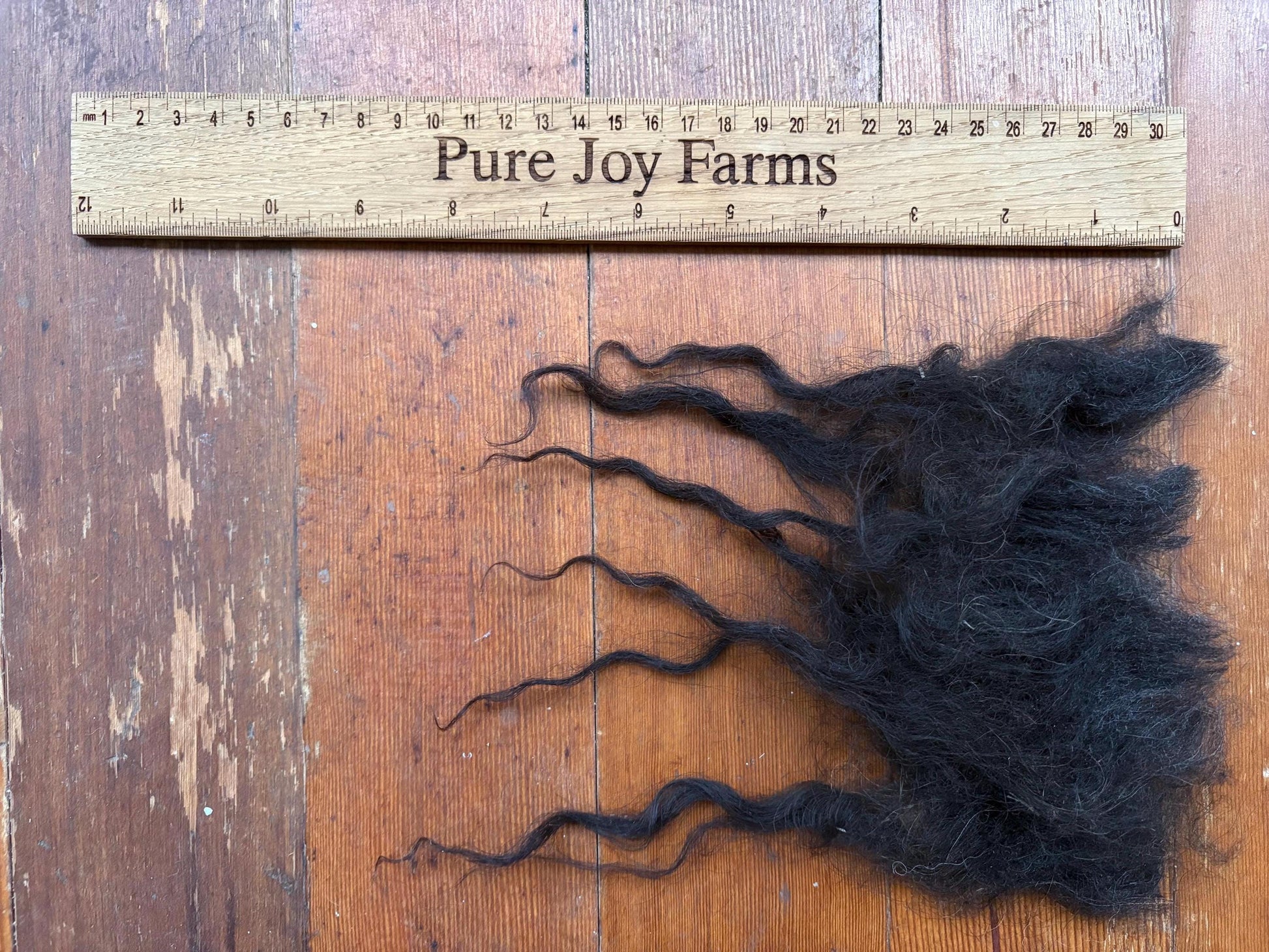 Icelandic Lamb Raw Wool Fleece (Fall Shearing)