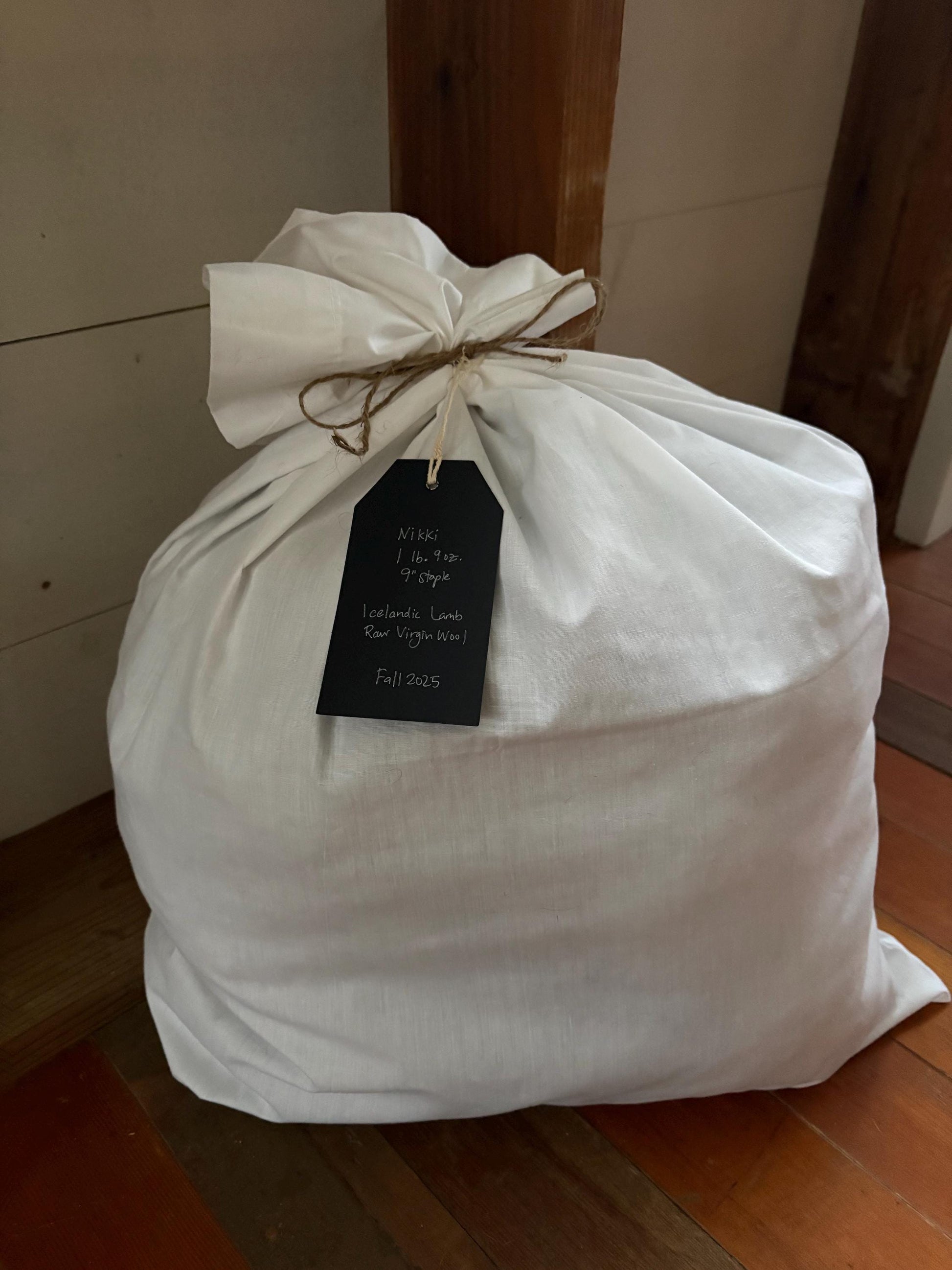 Icelandic Lamb Raw Wool Fleece (Fall Shearing)