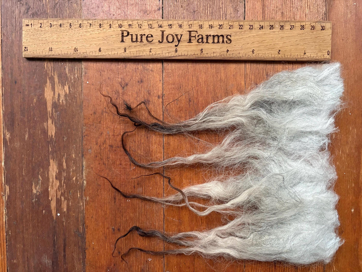 Icelandic Lamb Raw Wool Fleece (Fall Shearing)