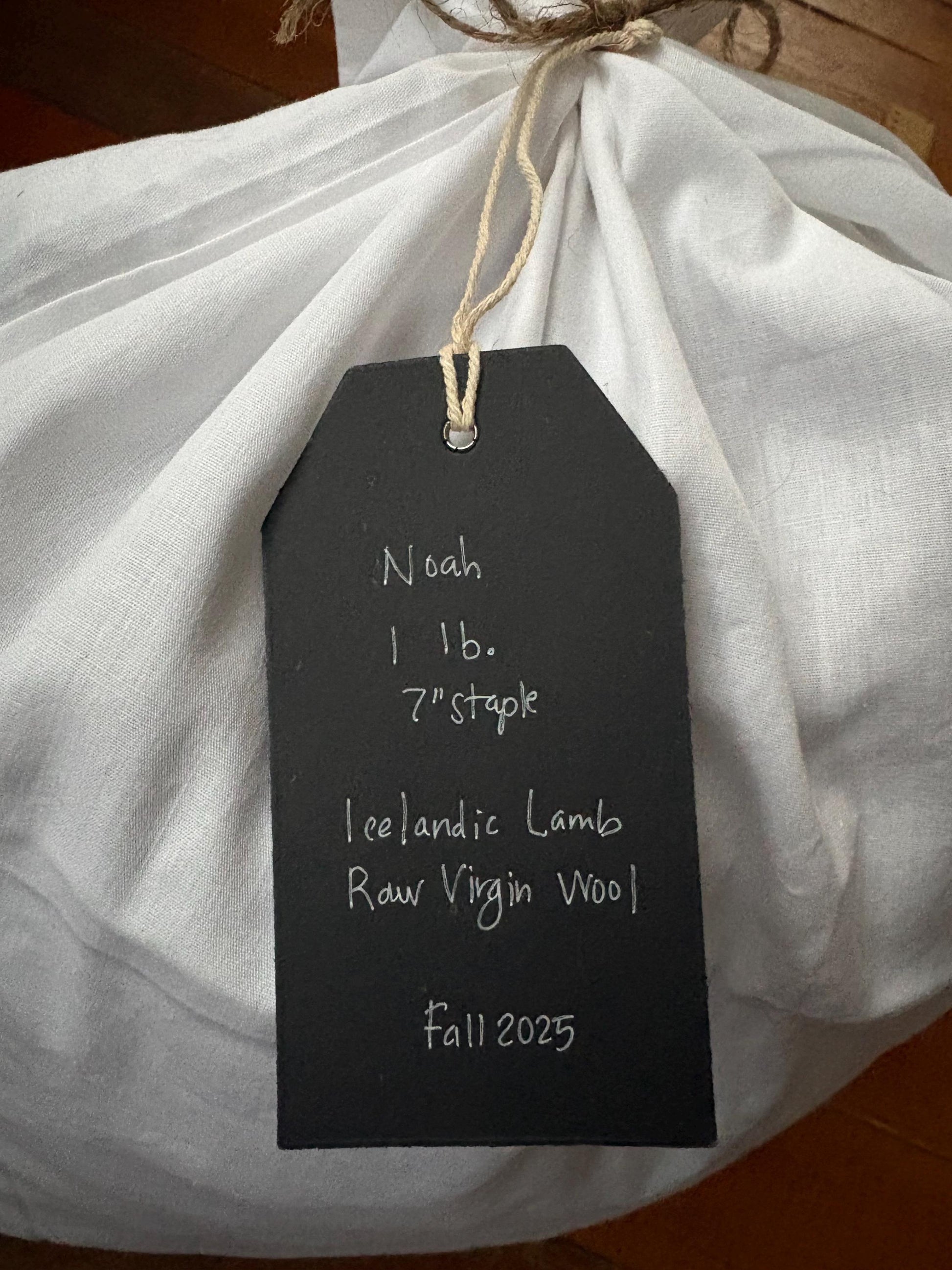 Icelandic Lamb Raw Wool Fleece (Fall Shearing)